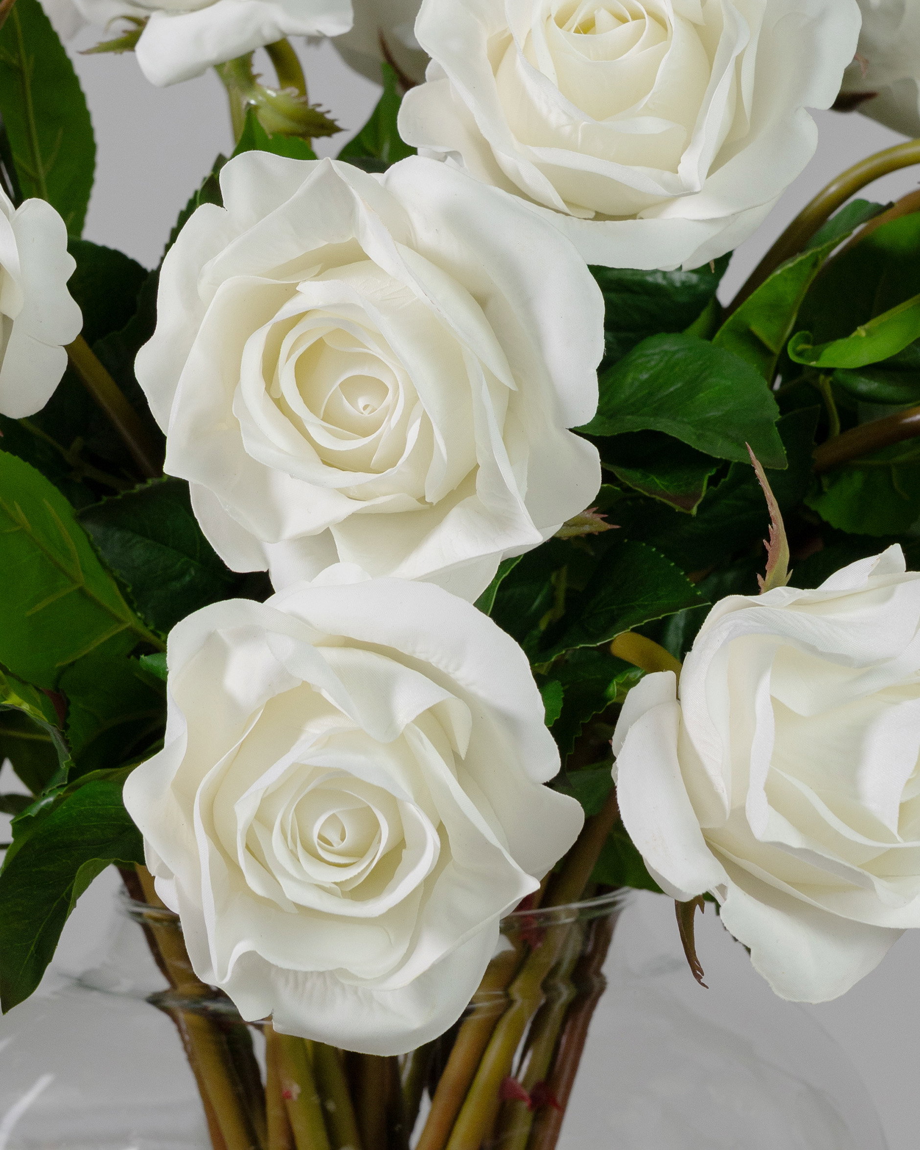 Rose Cut Flower White