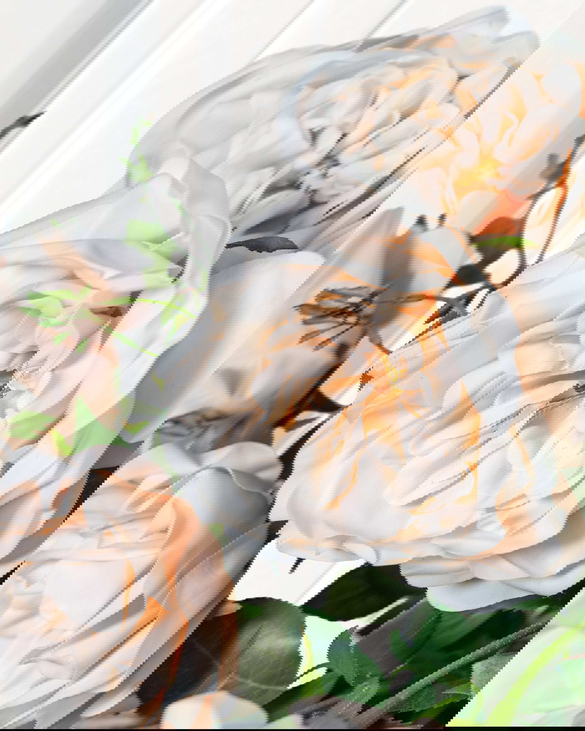 Ros snittblomma persika