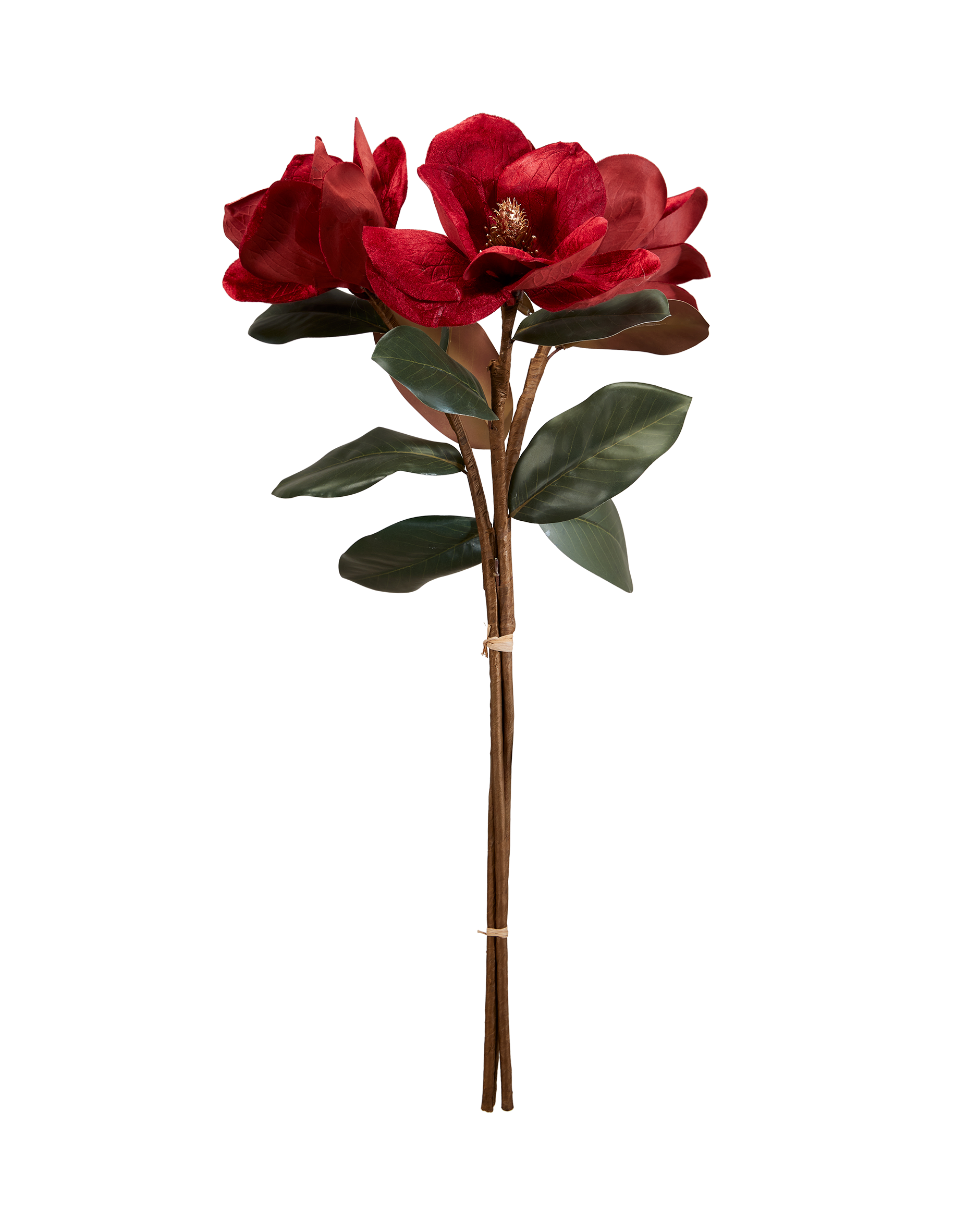 Magnolia snitblomst rød 3-pak