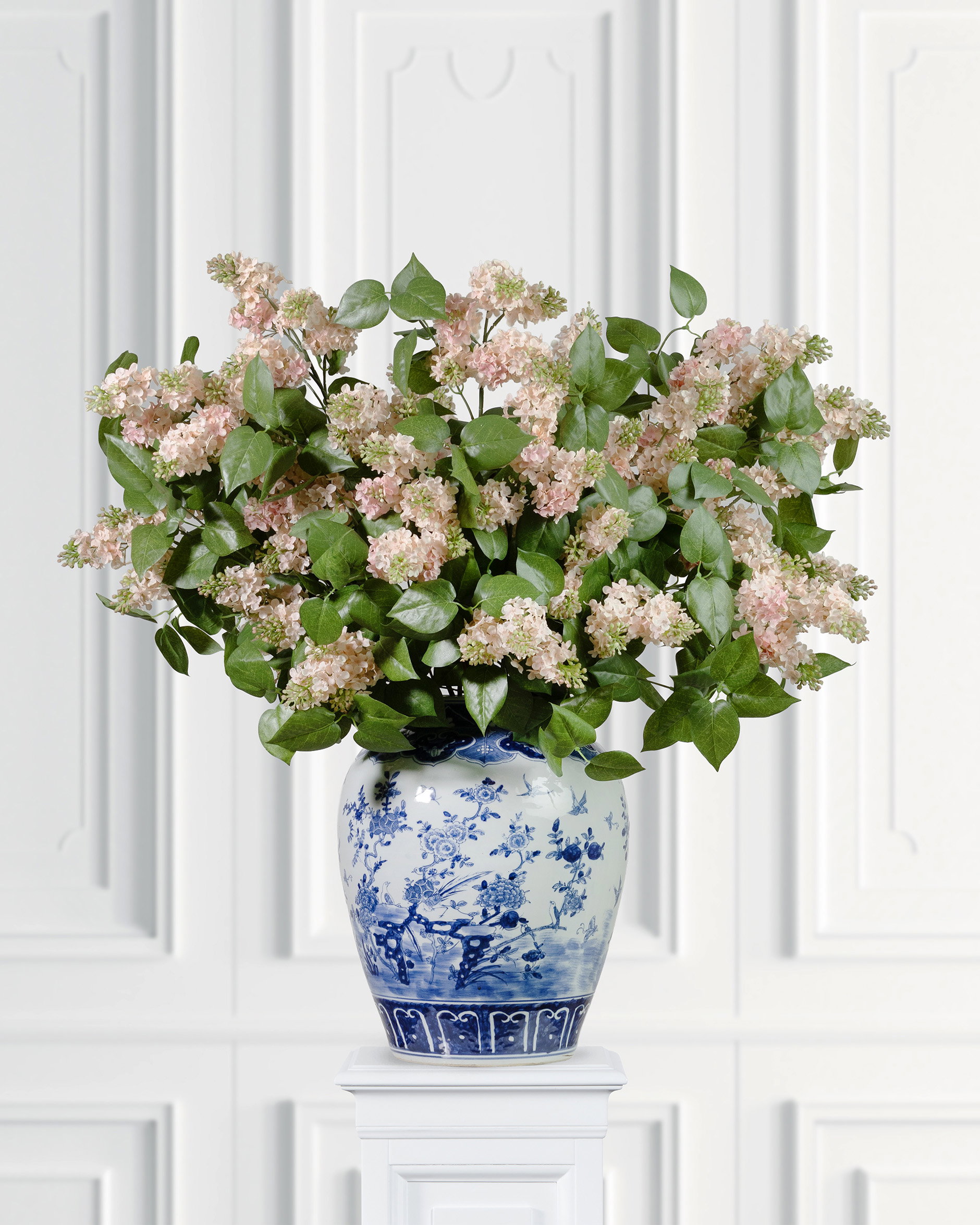 Lilac Cut Flower Pink