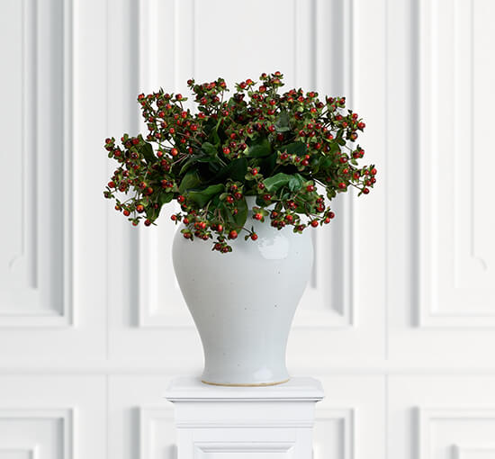 Rot - Hypericum Schnittblume creme