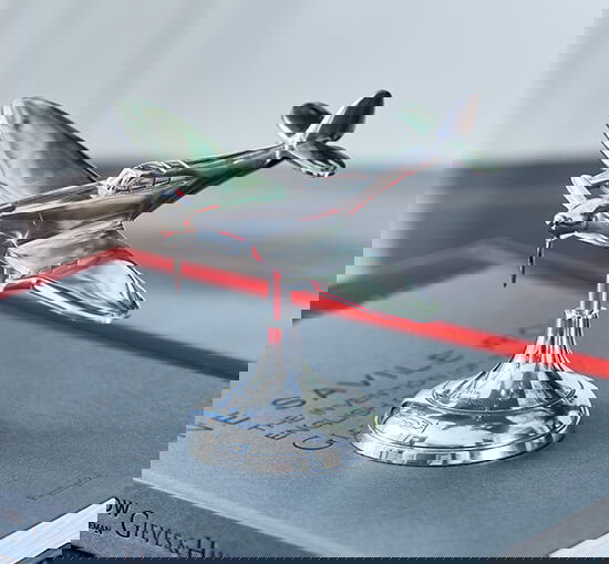Spitfire Travel Model