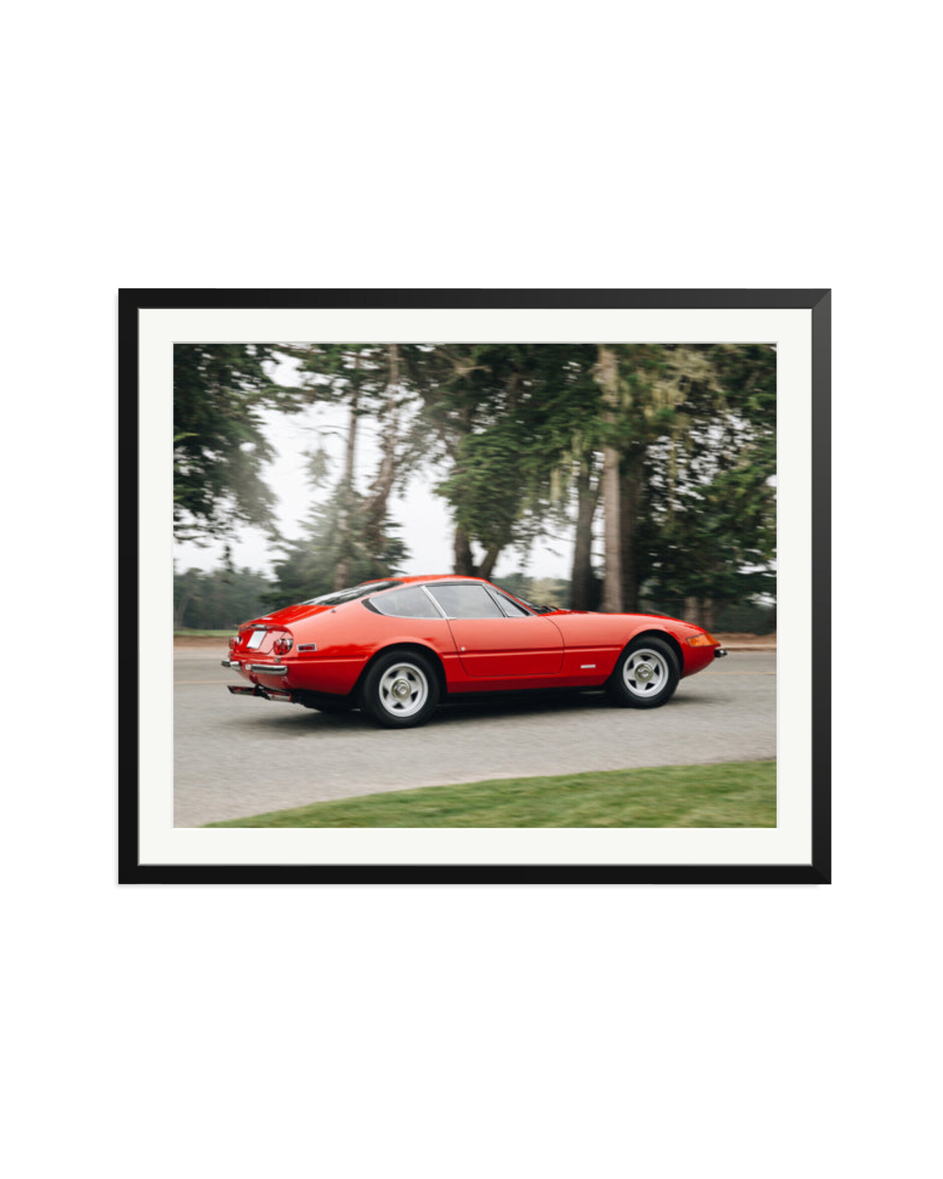 Ferrari Daytona Black / XXL