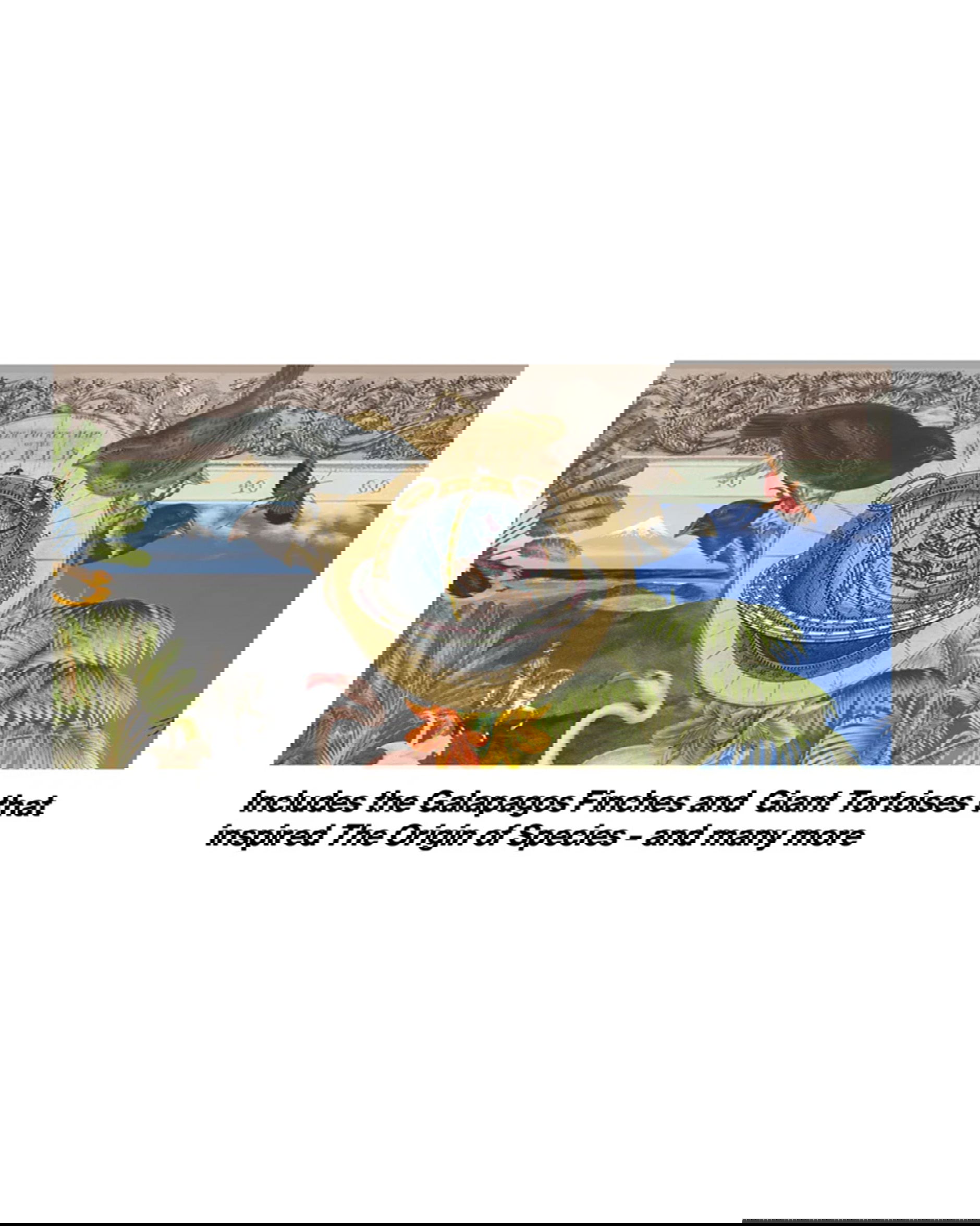 Charles Darwin pussel