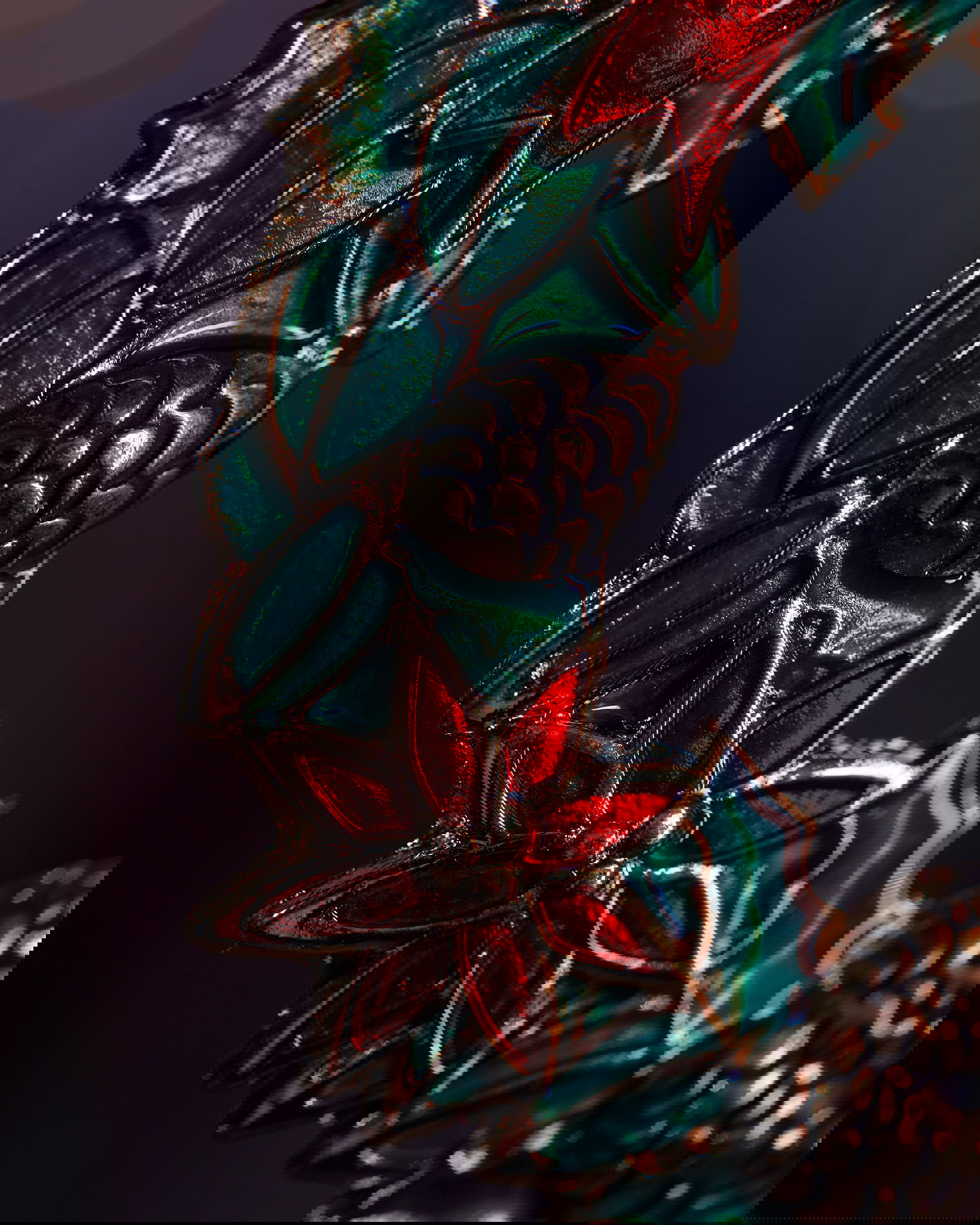 Estelle krans julgransdekoration grön