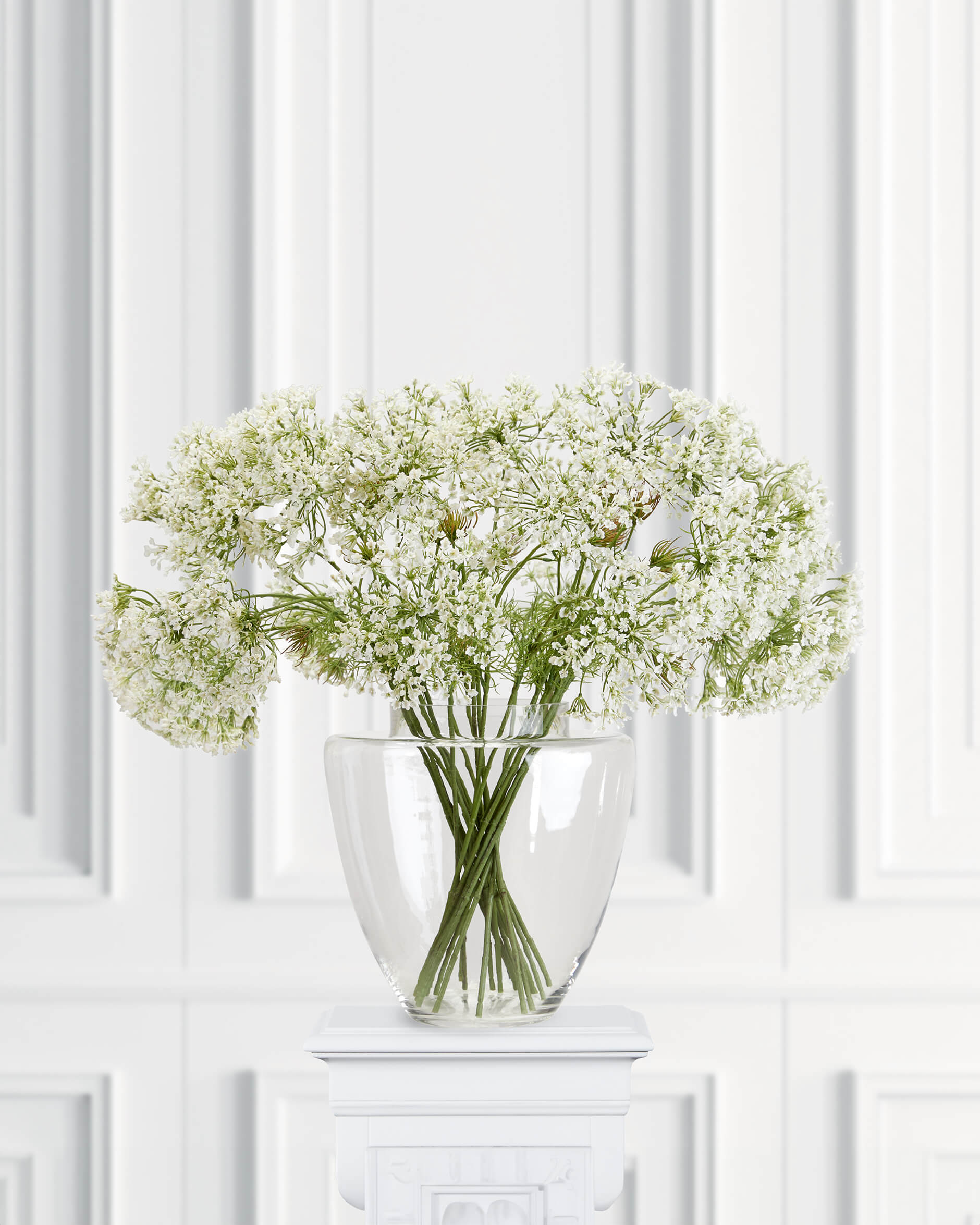 Allium Cut Flower White
