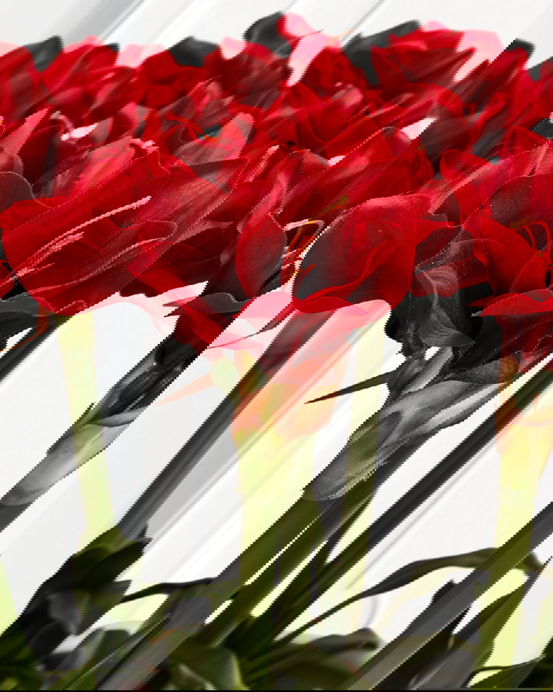 Amaryllis Artificial Plant Red