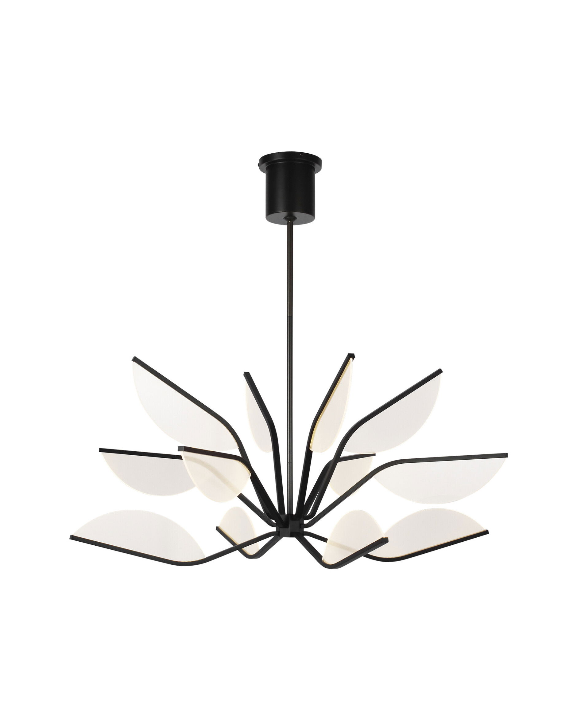 Belterra 38 takkrona svart