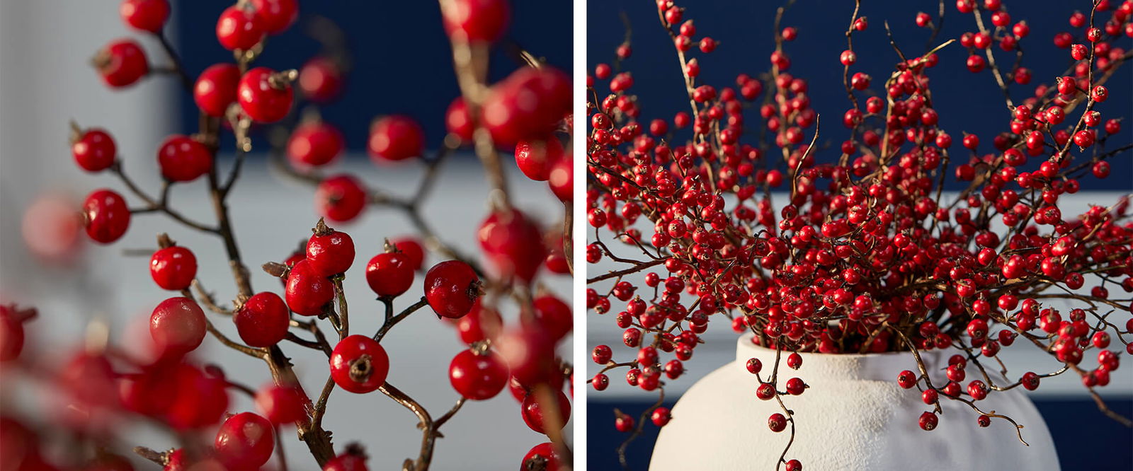 Christmas Flowers