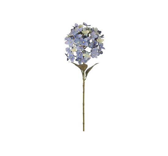 Blå - Hortensia snittblomma blå/beige