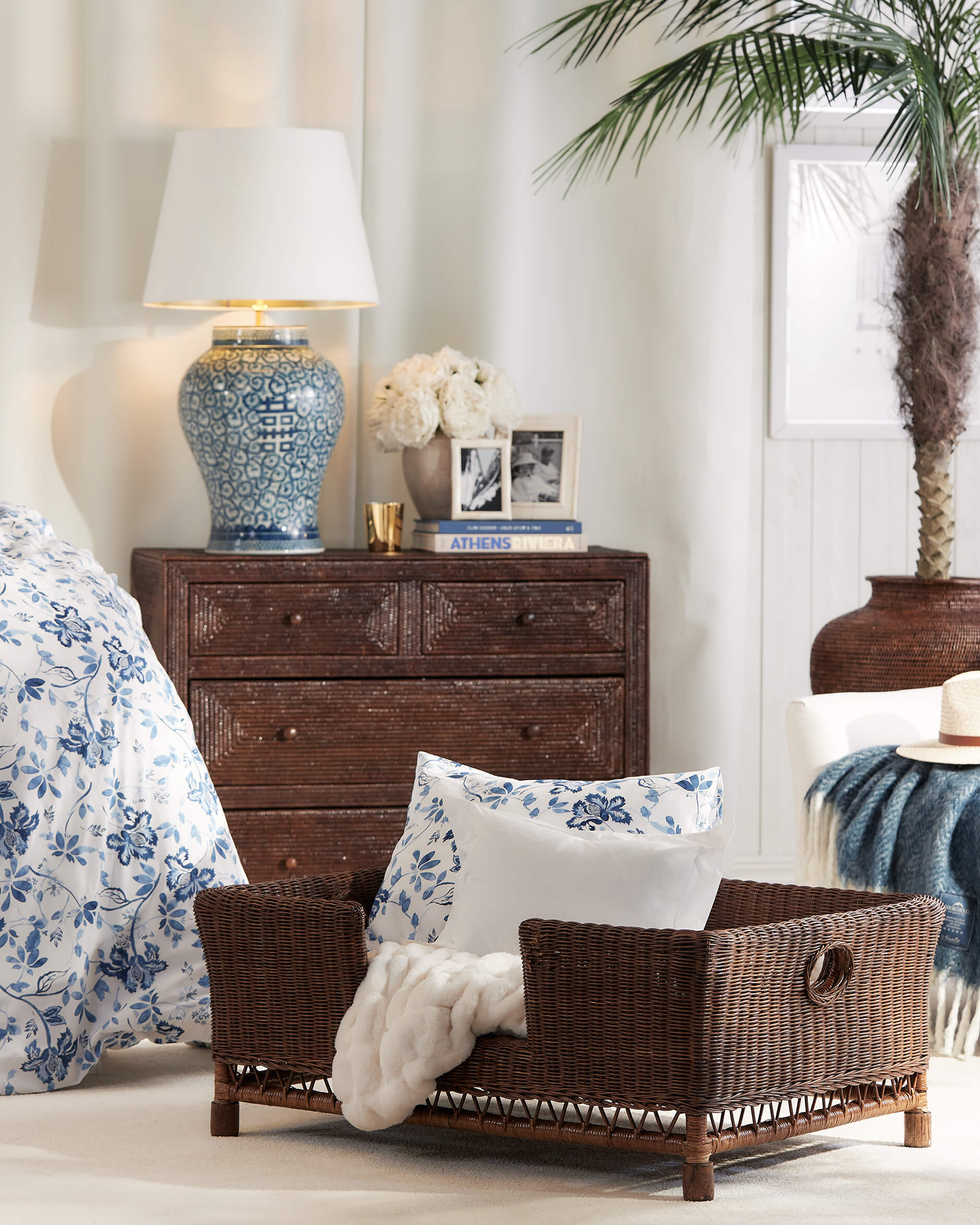 Cognac hundkorg rotting