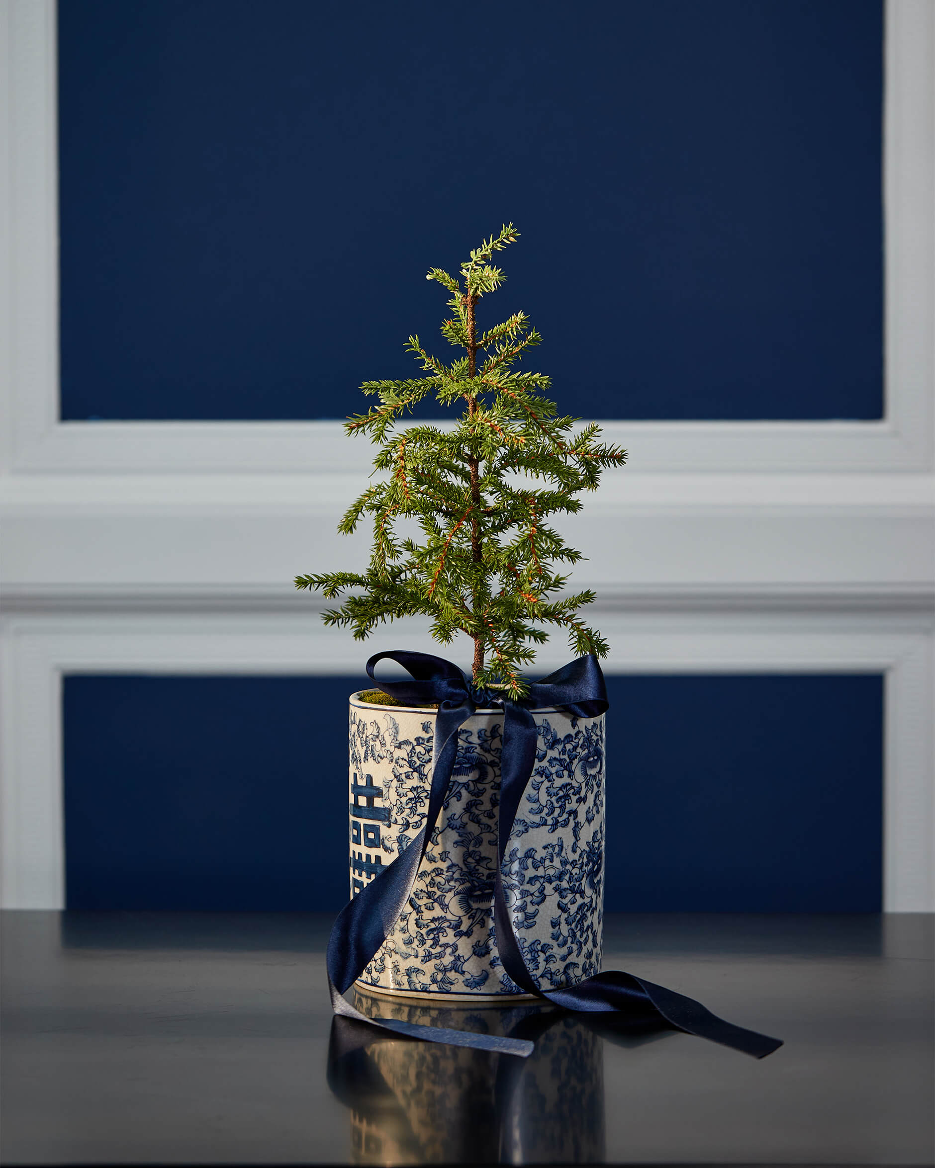 Sigrid gran konstväxt