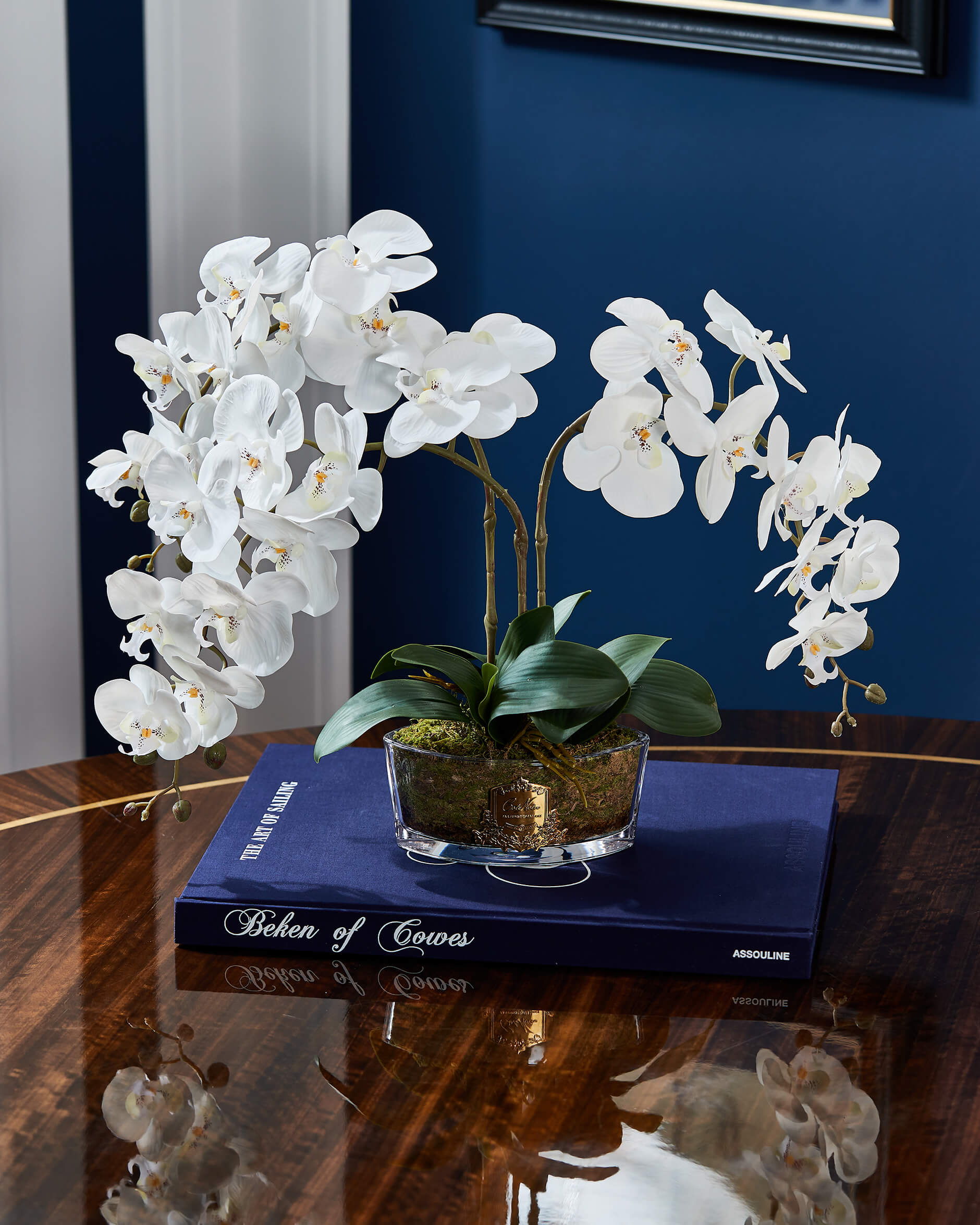 Orchidée Classique gåvoset