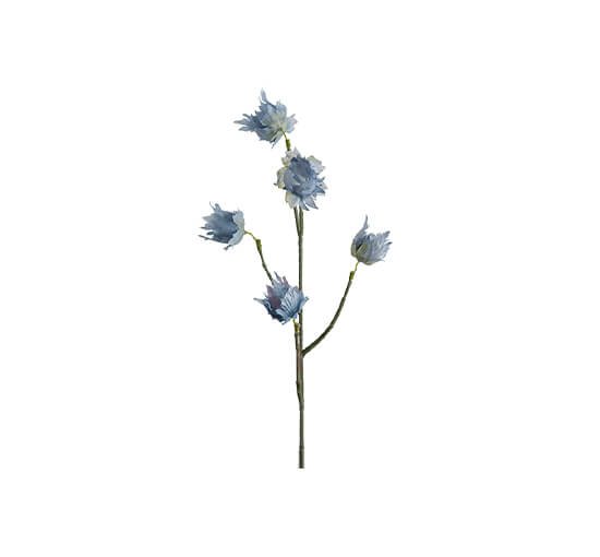 55cm - Eternell snittblomma blå OUTLET