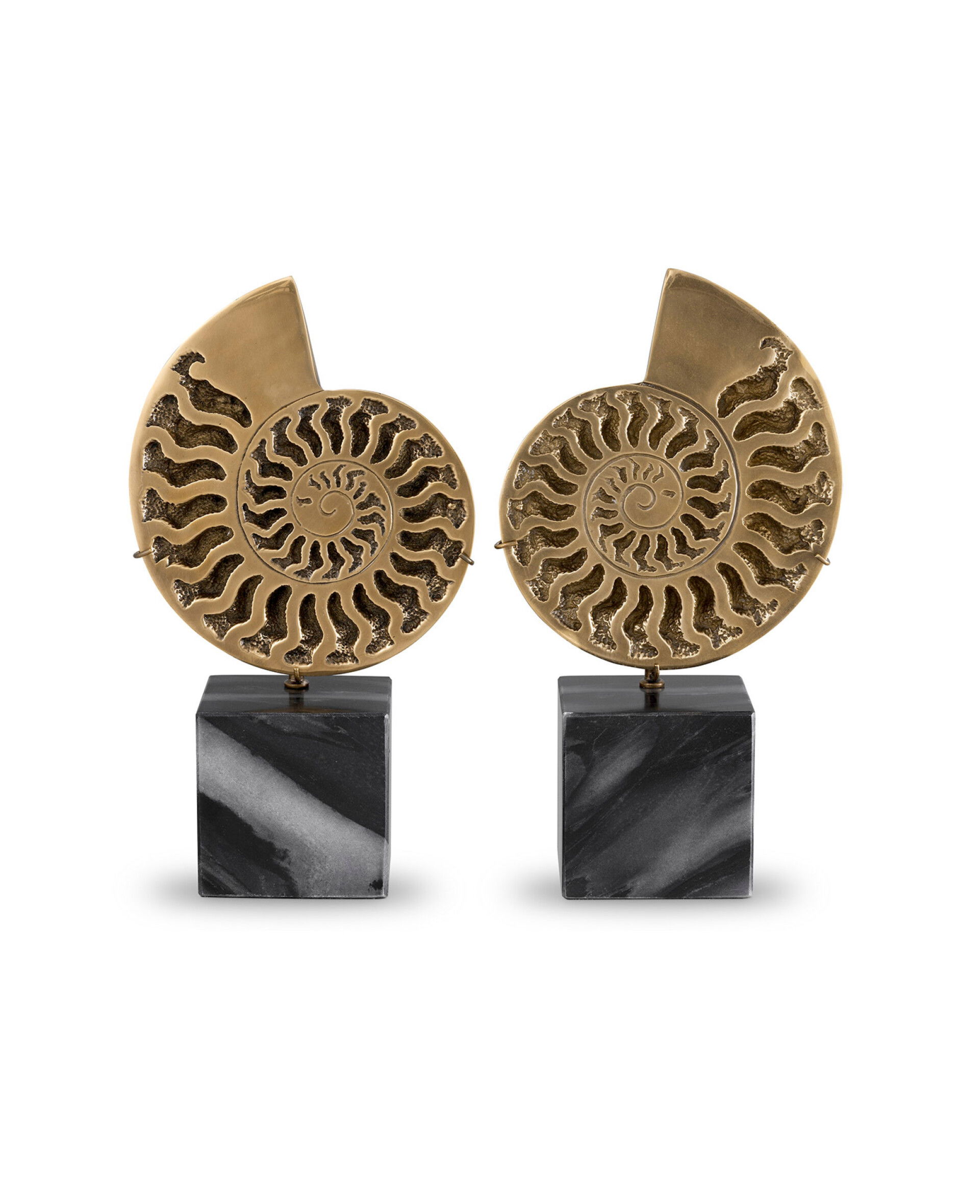 Ammonite Object Vintage Brass Set of 2