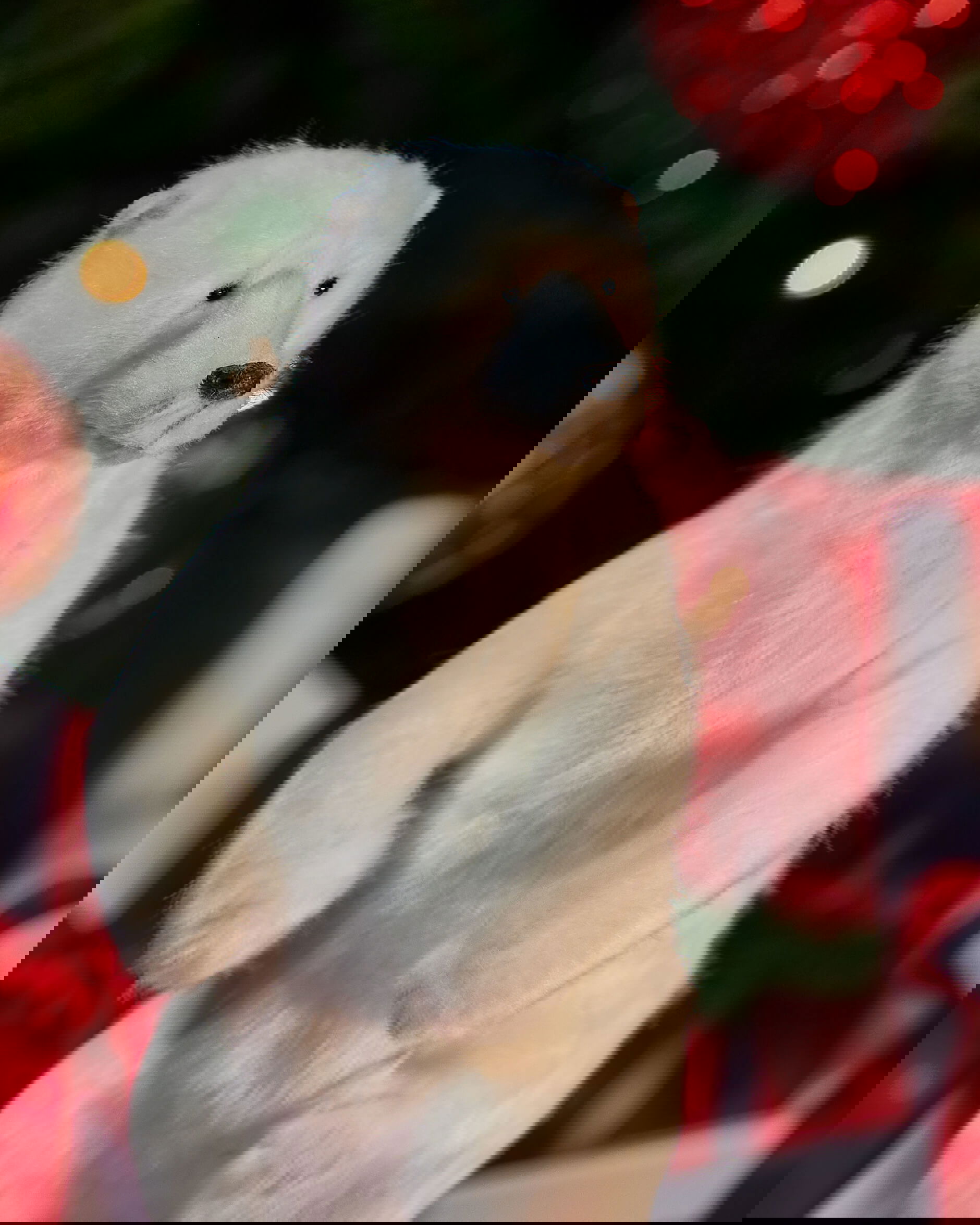 Sara isbjörn juldekoration