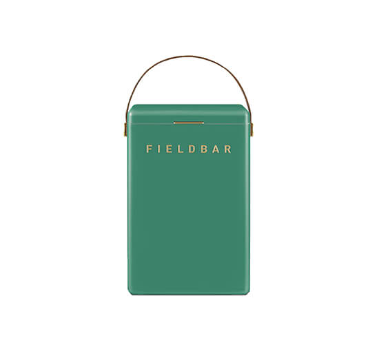 Fieldbar køleboks parisian green
