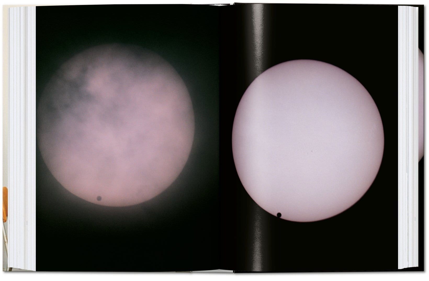 Wolfgang Tillmans - The Complete Works - 40 series