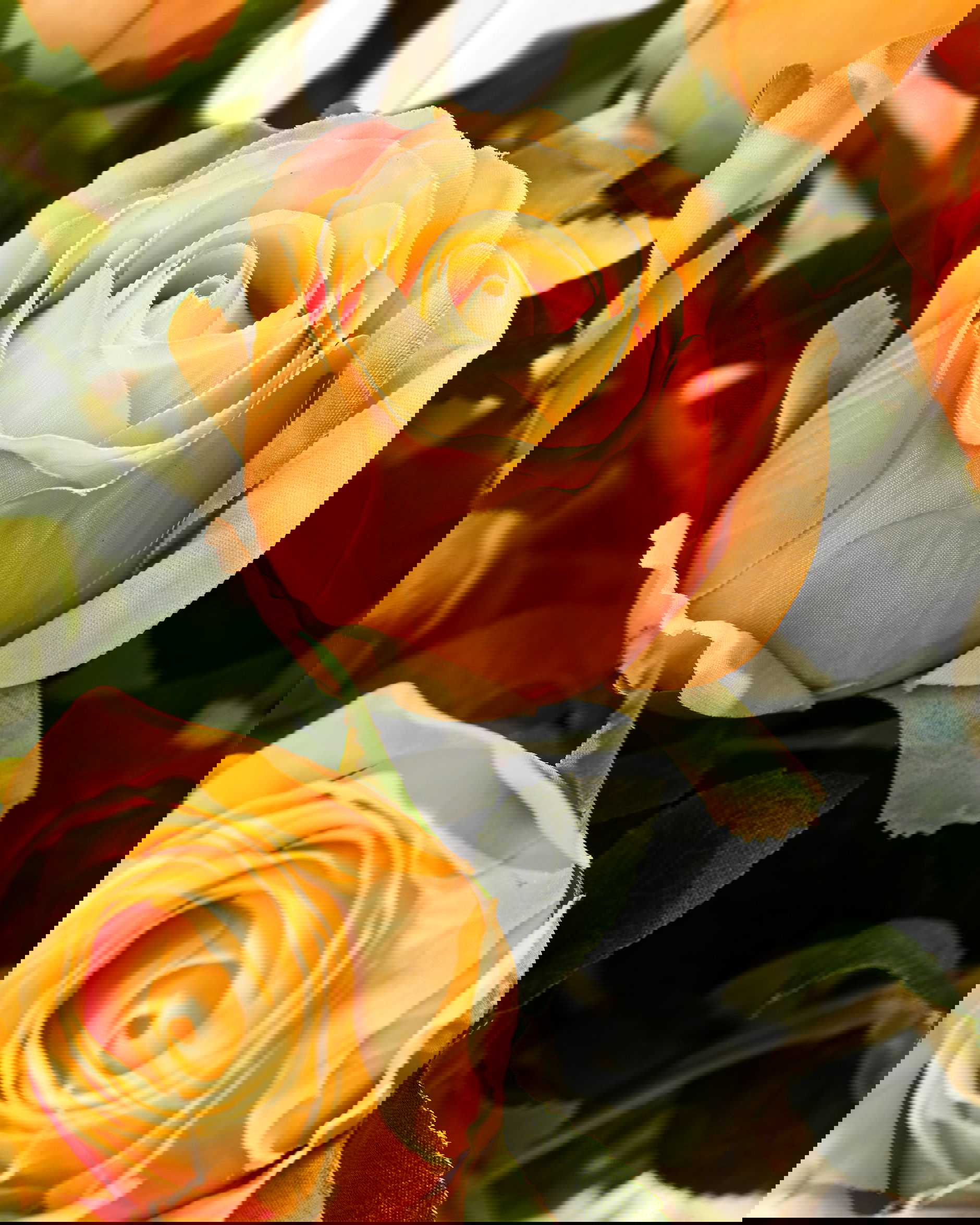 Ros snittblomma peach