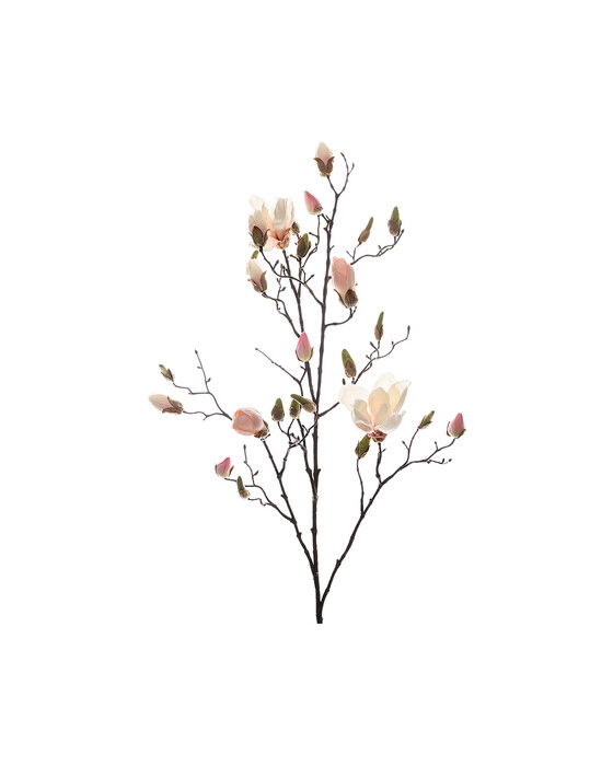 Magnolia - afskåret blomst i hvid/pink