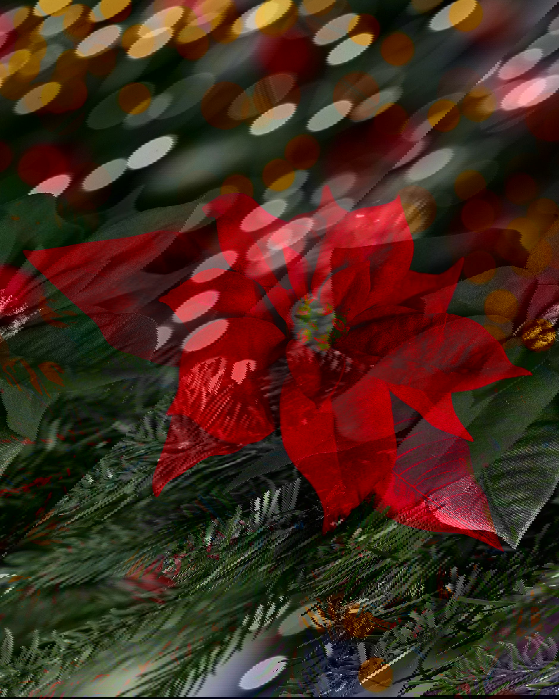 Joulutähti tekokasvi klipsillä punainen