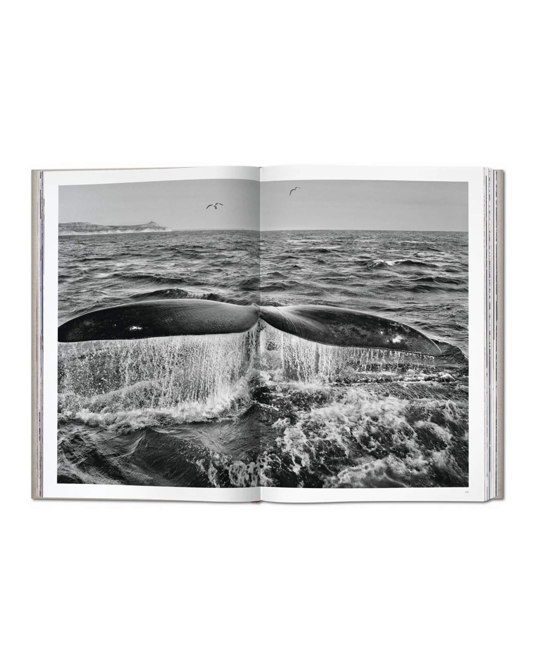 Sebastião Salgado Genesis SUMO