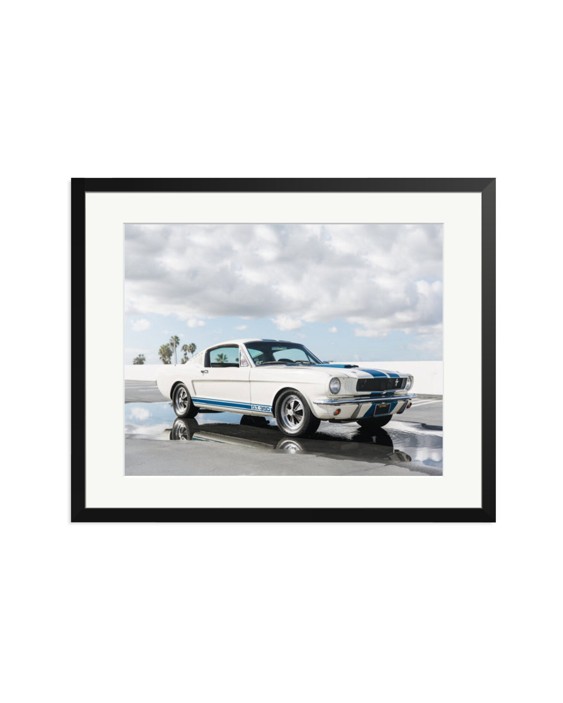 Ford Mustang Shelby GT350 Black / XL