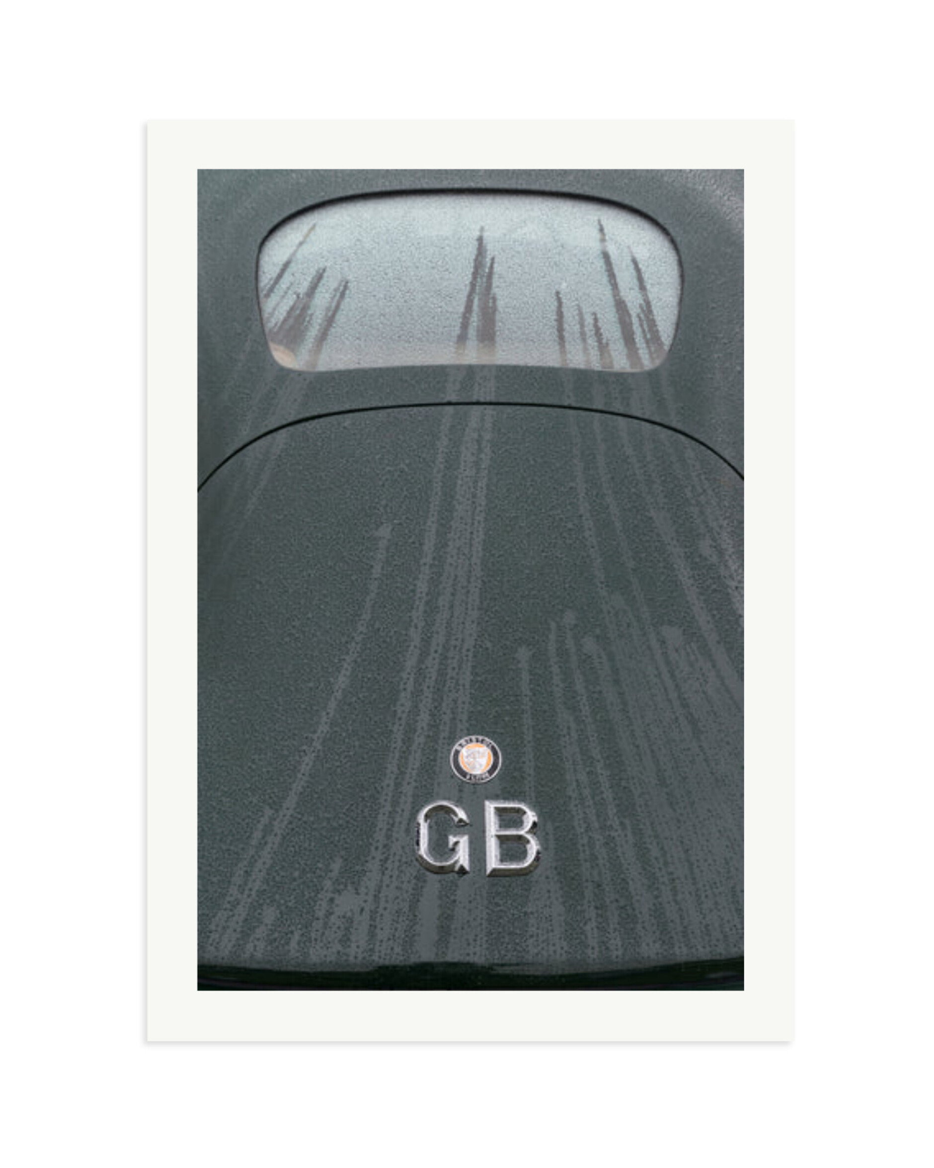 1950 Bristol 401 Print Only / XXL