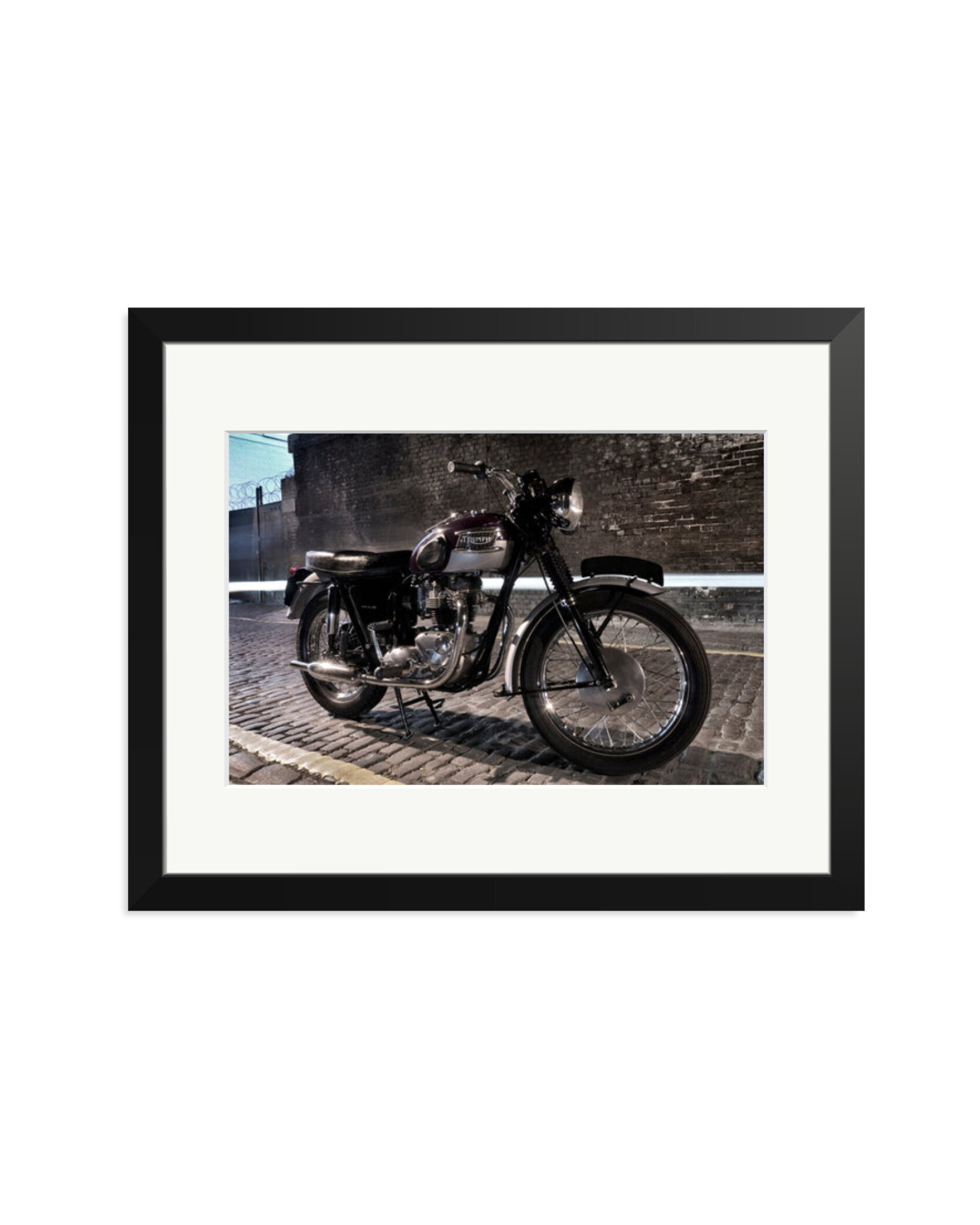 Triumph 1963 Black / Medium