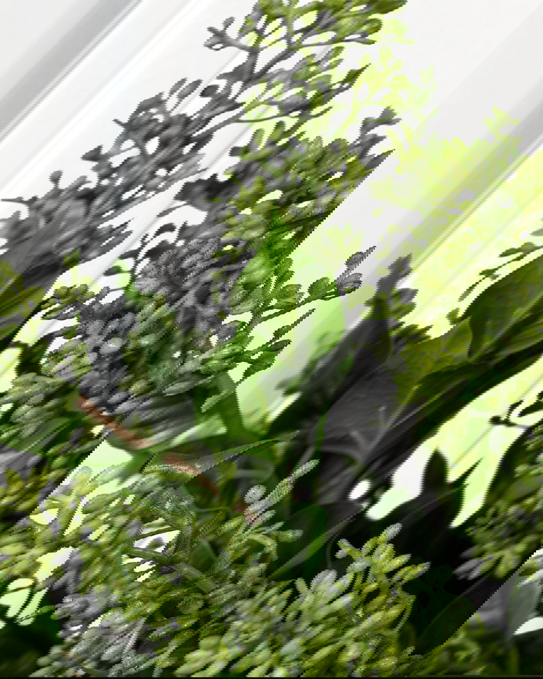 Rowan cut flower green