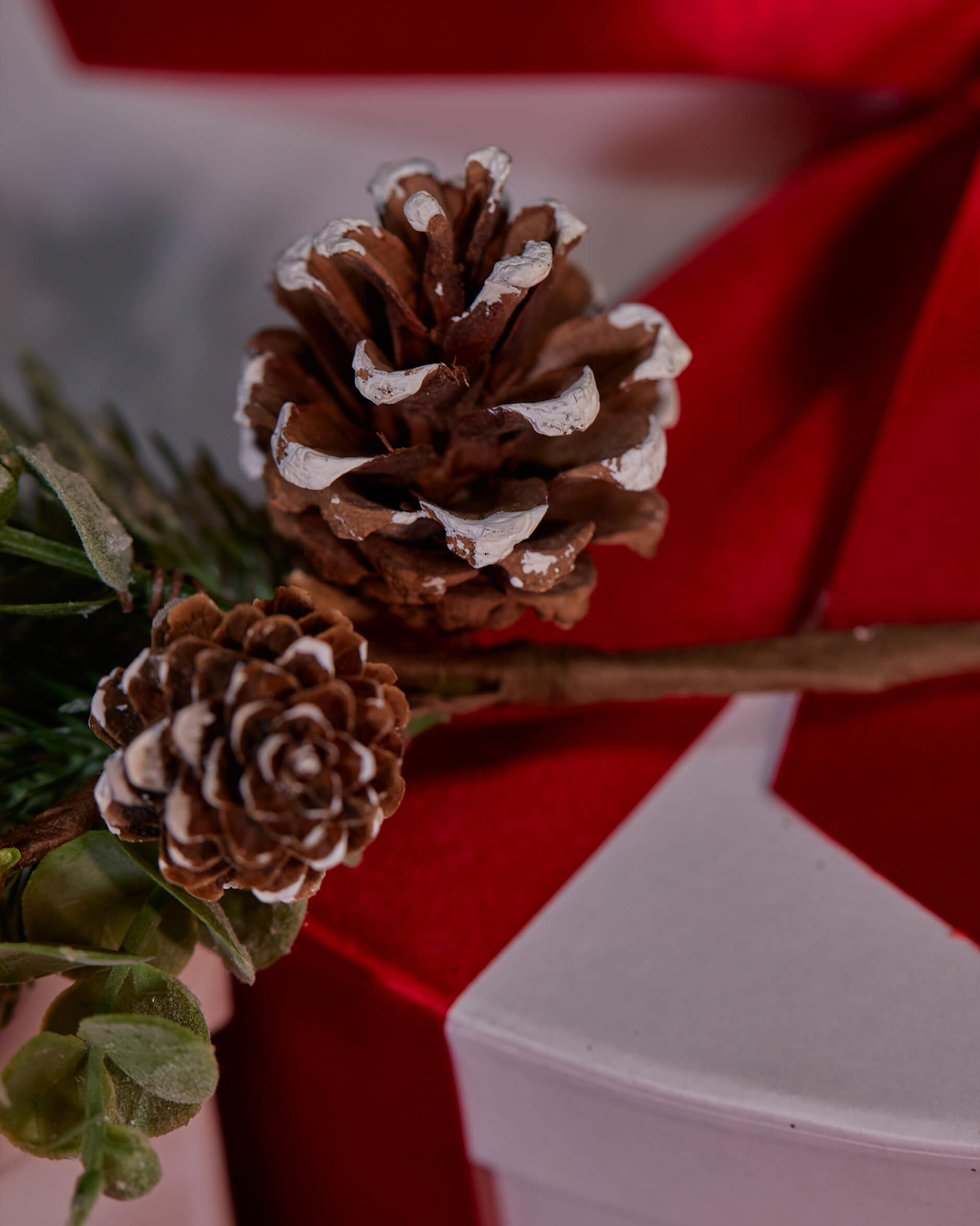 Mirelle tallkvist grön