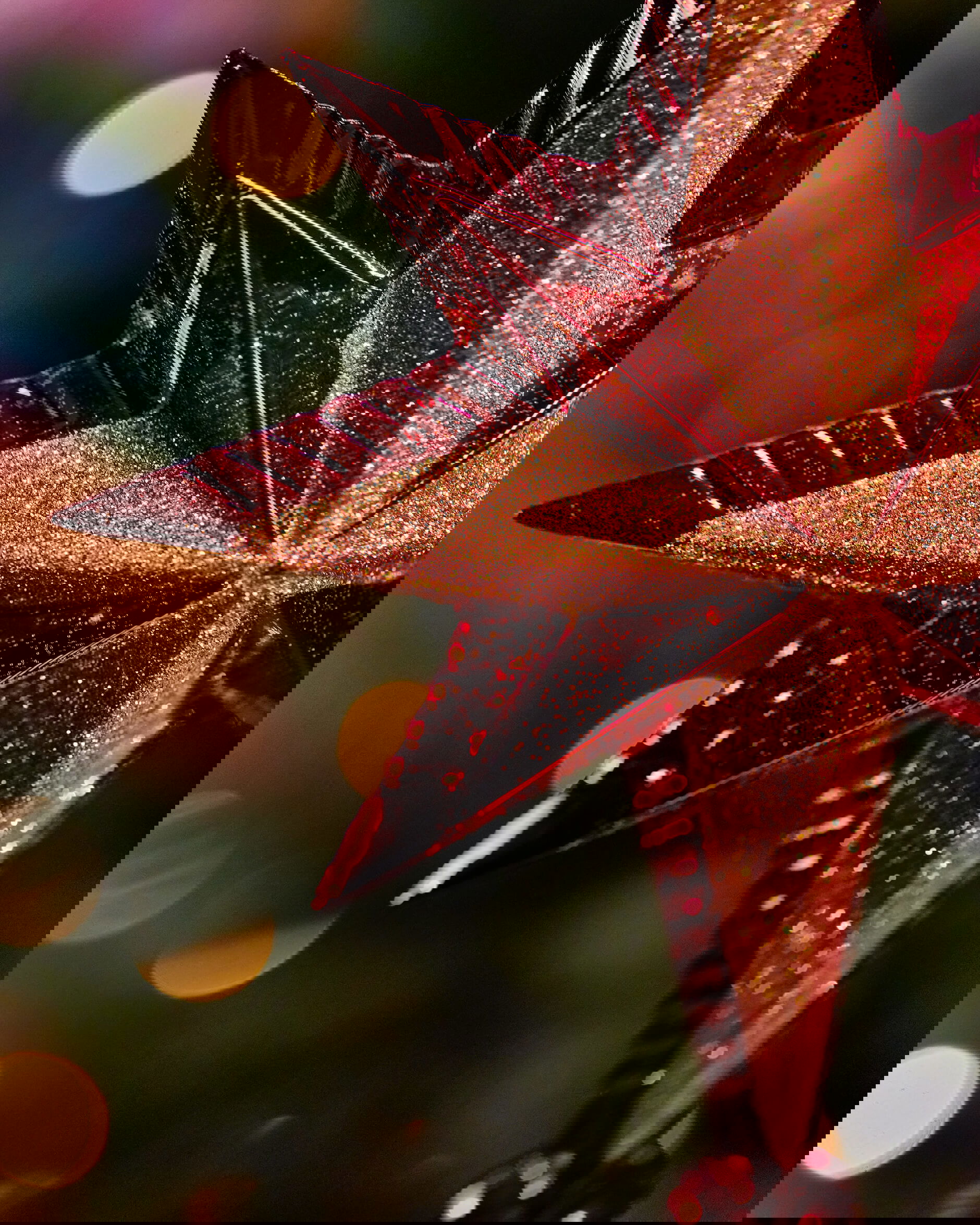 Marguerite toppstjärna röd