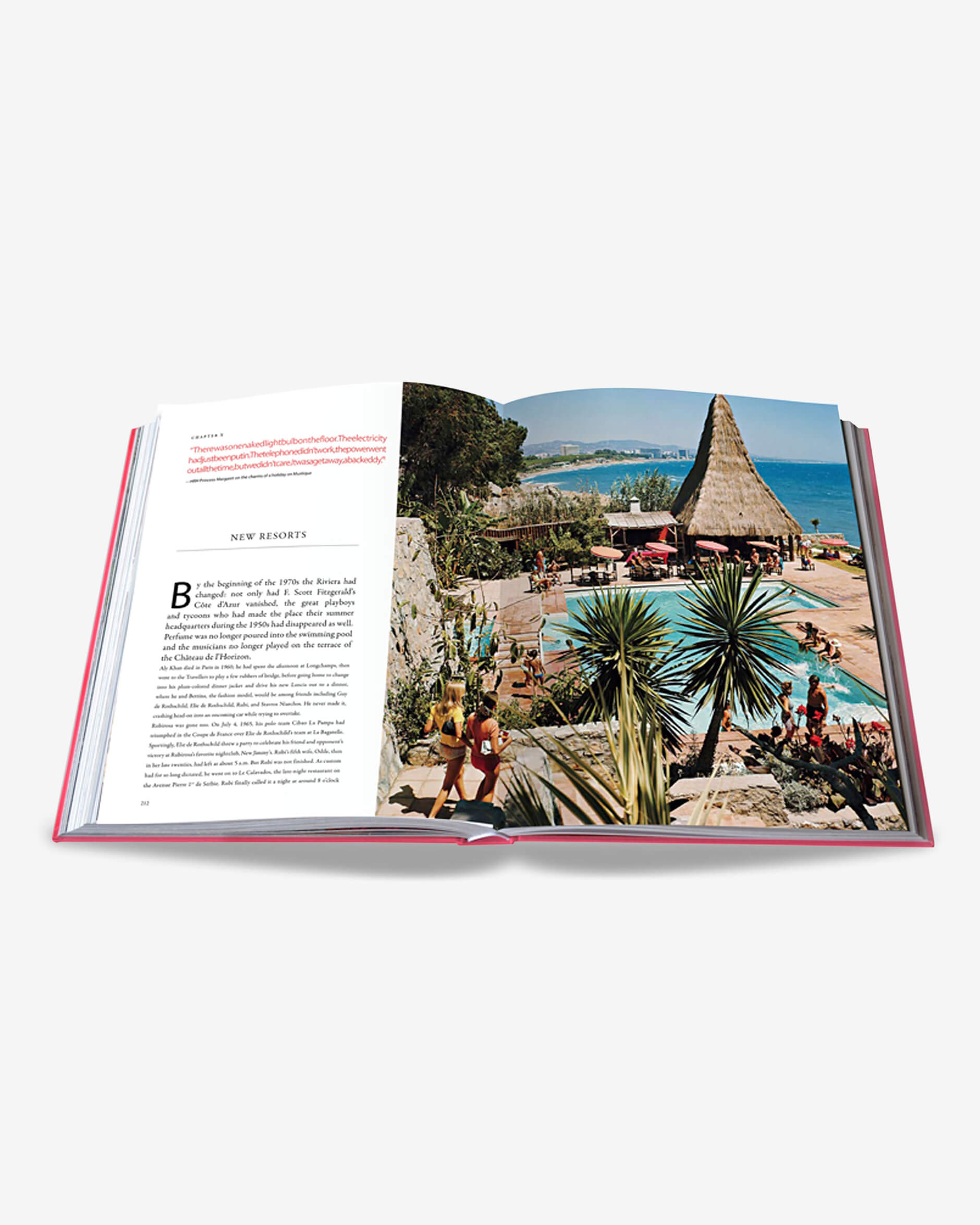 SWANS - Legends Of The Jet Society