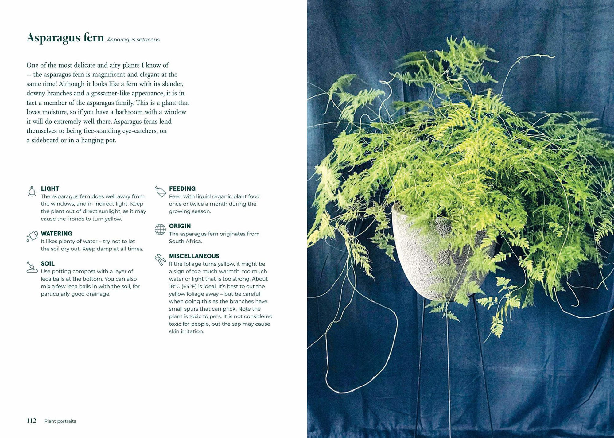 Green Home - The Joy of Living with Plants