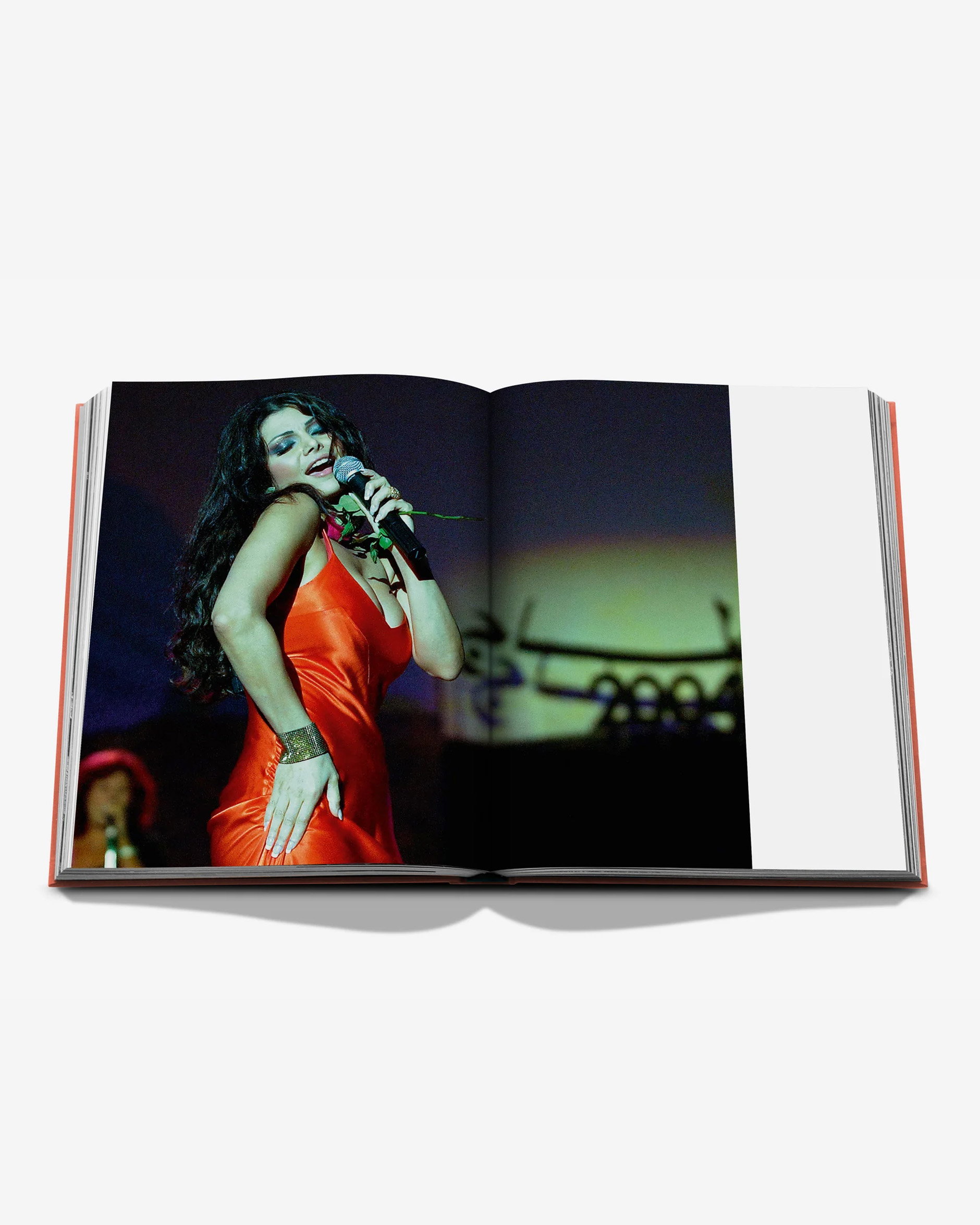 Travel Books Beirut Habibi
