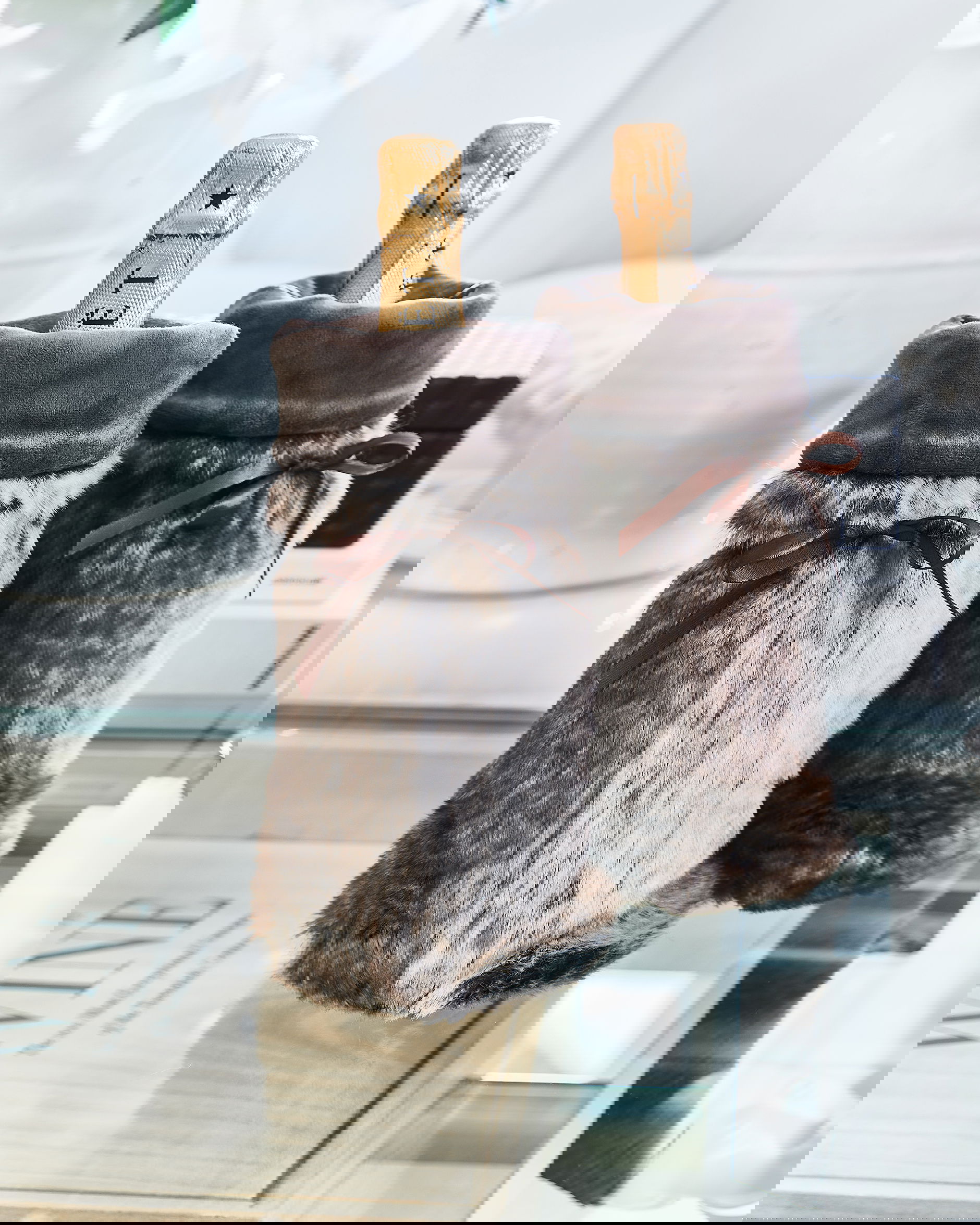 Whistler Wine Holder Brown Bear