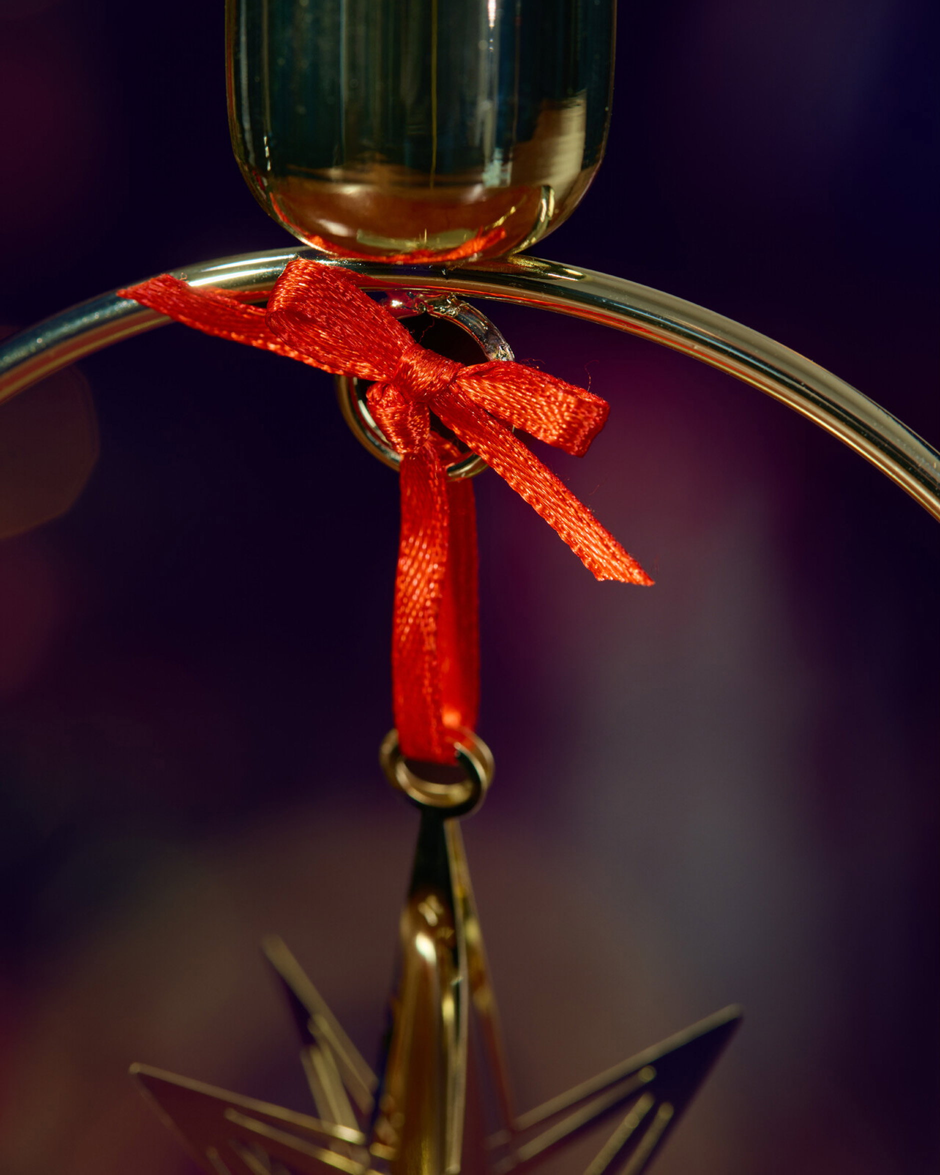 Moa Polar Star Ornament