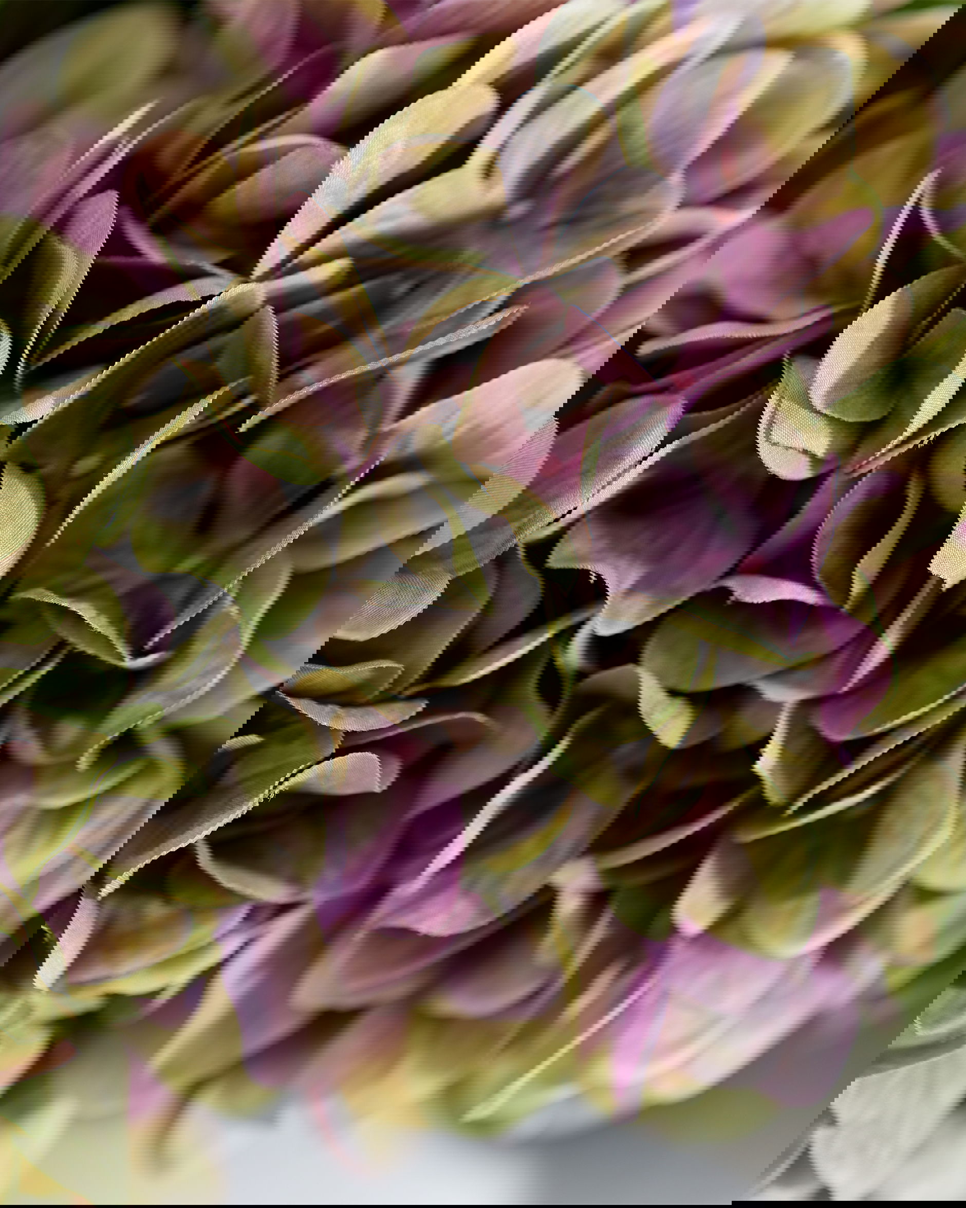 Hortensia snittblomma lila/grön