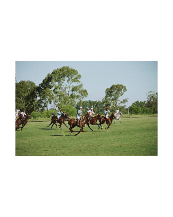 Polo Match | Gallery - Slim Aarons - Collections - Sports | Möbelexperten