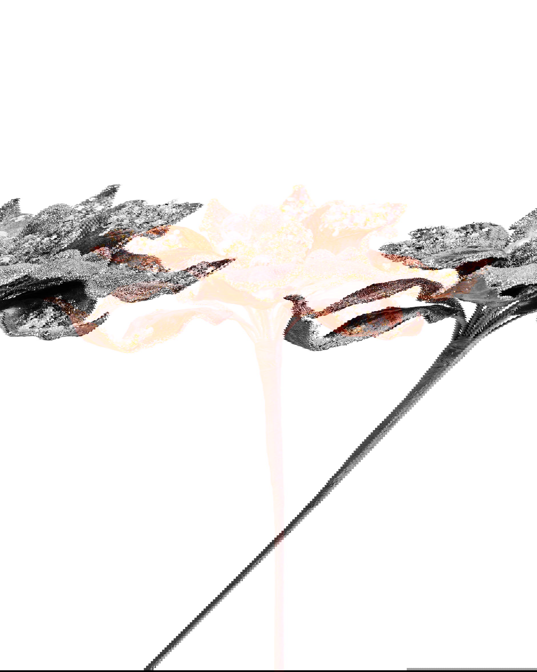 Kerstster decoratietak bruin