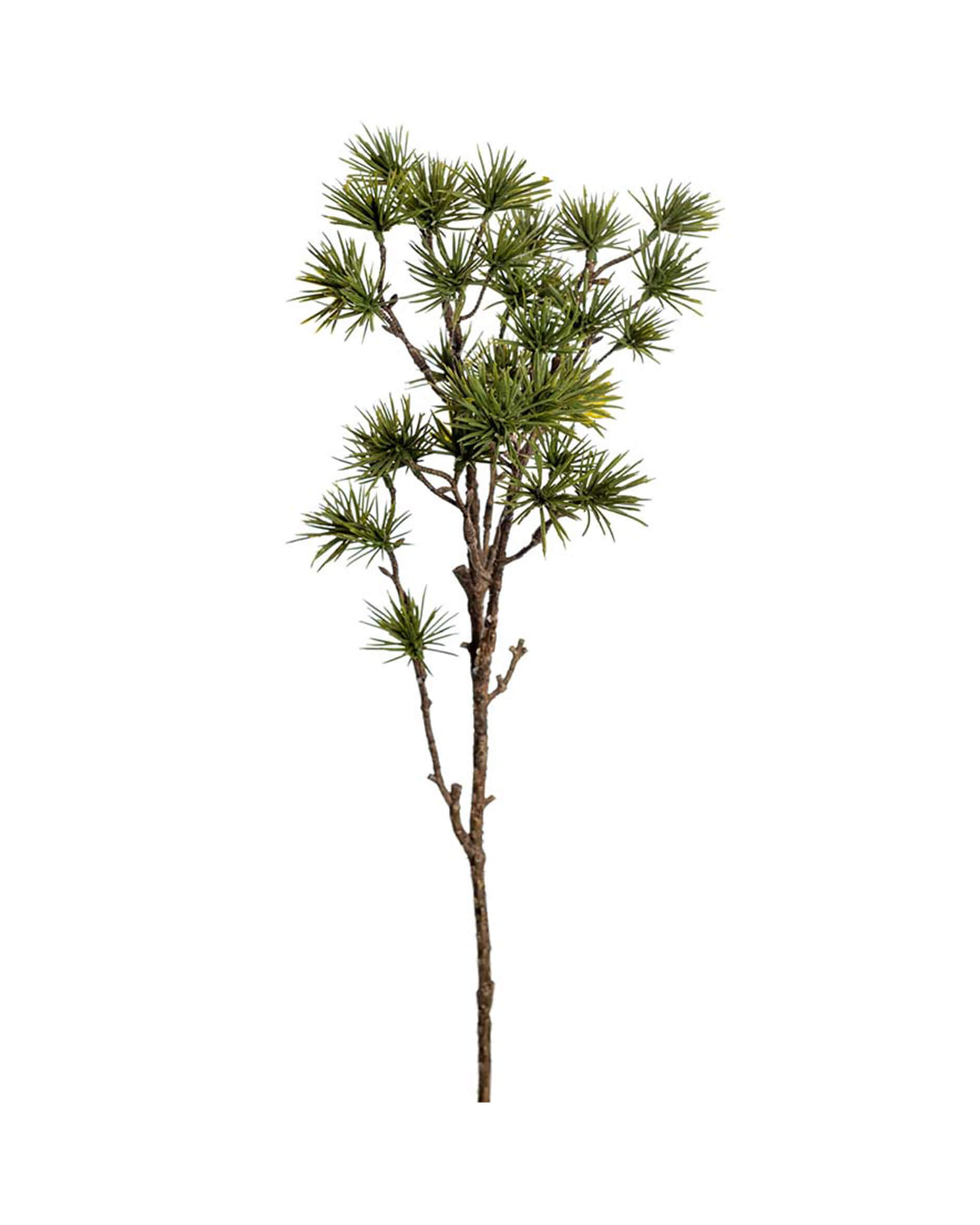 Lärk snittblomma grön