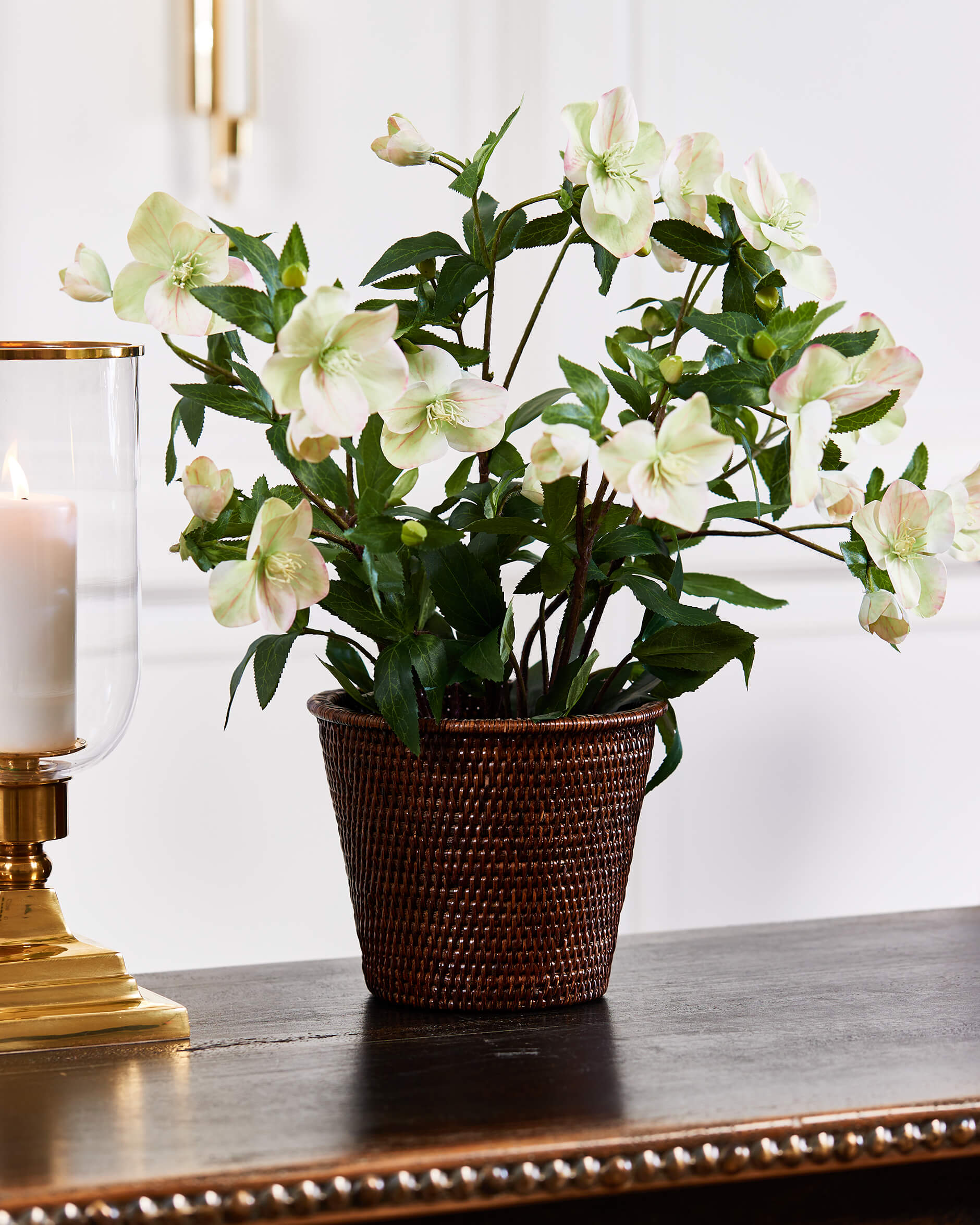 Julros konstväxt vit