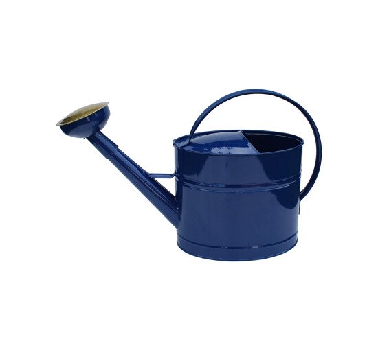 Blue - Watering can lacquered white