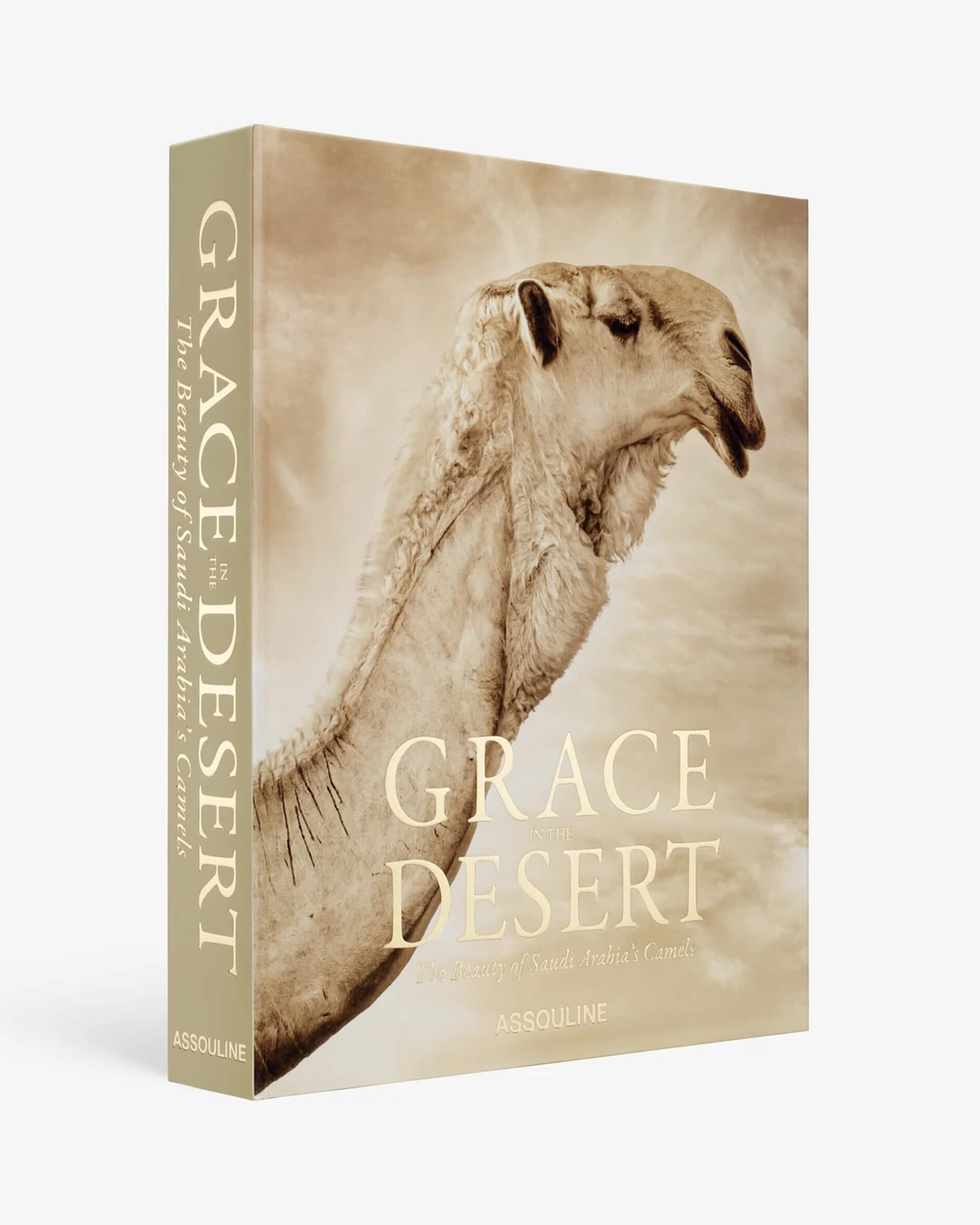 Grace in The Desert: The Beauty of Saudi Arabia's Camels