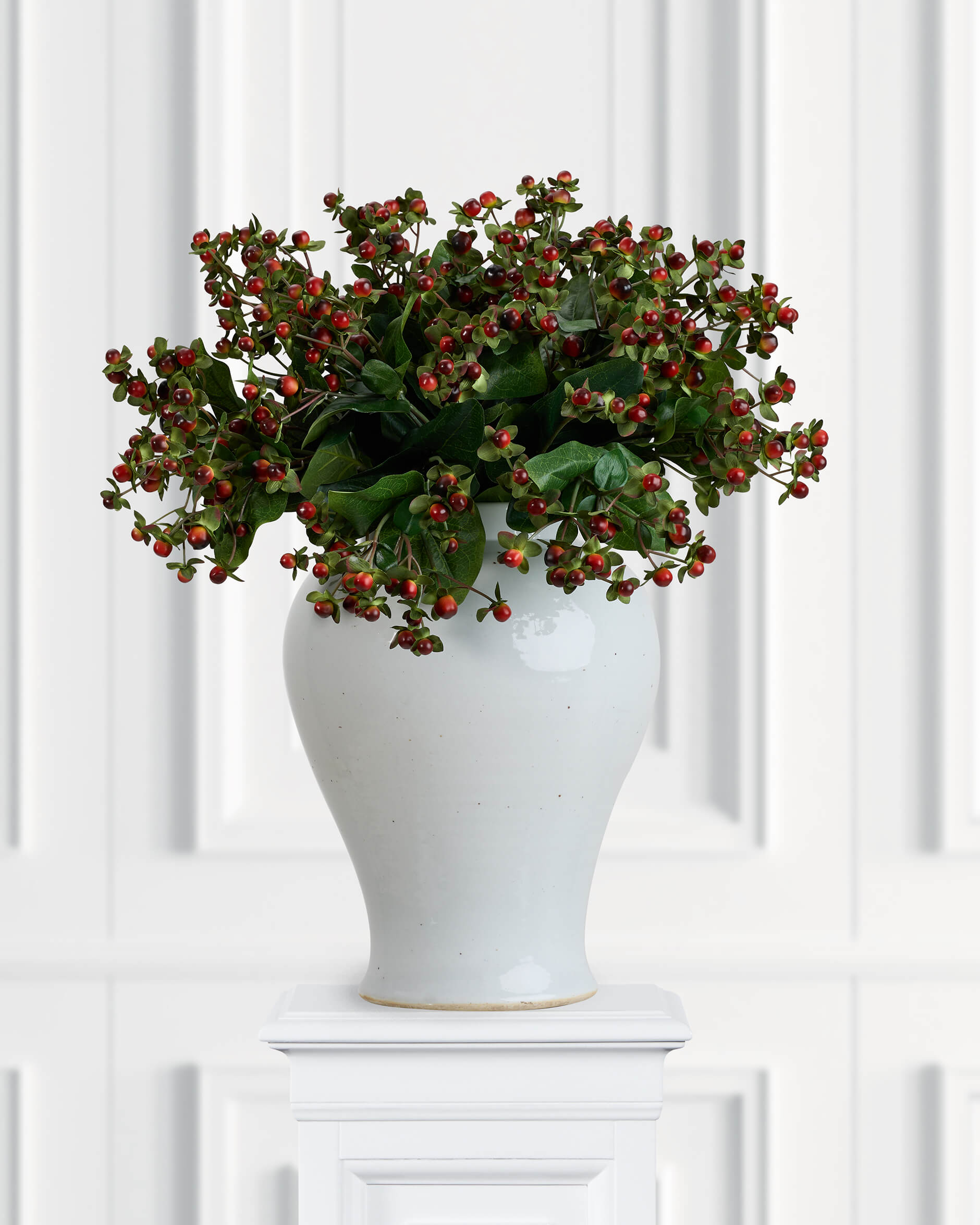 Hypericum snittblomma röd