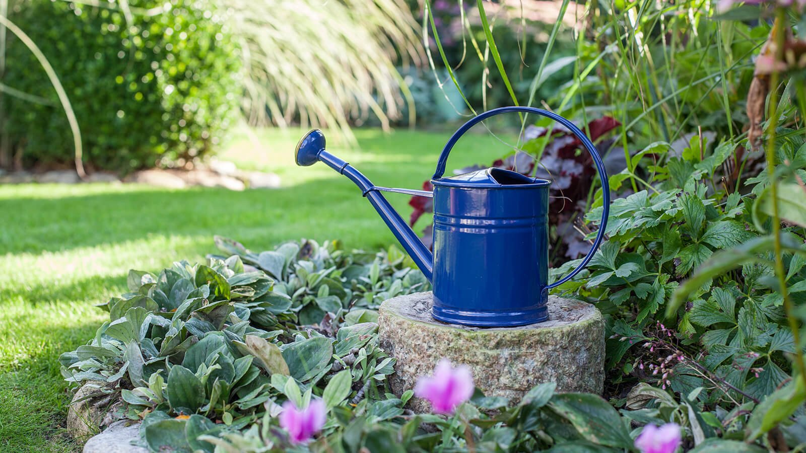 Stylishly designed watering cans - Buy at Newport