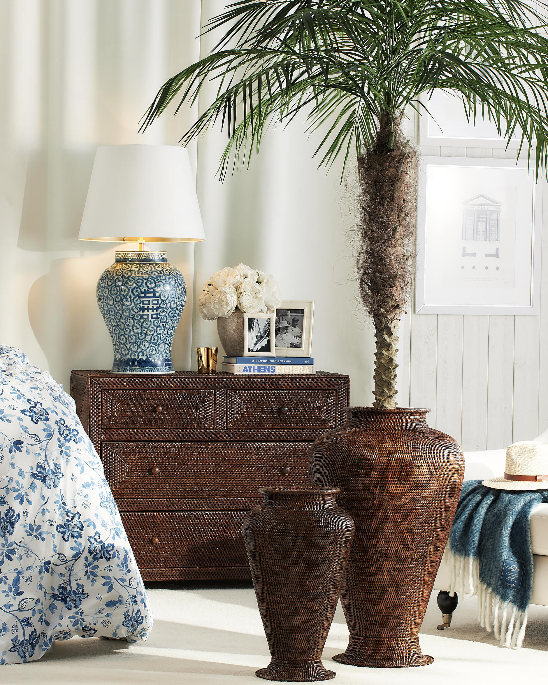 Cognac blomkruka rotting