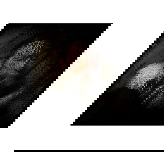 Rembrandt White