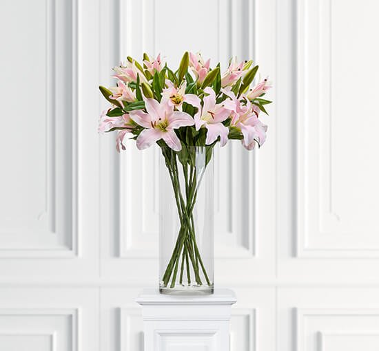 Pink - Lilje – afskåret blomst i hvid