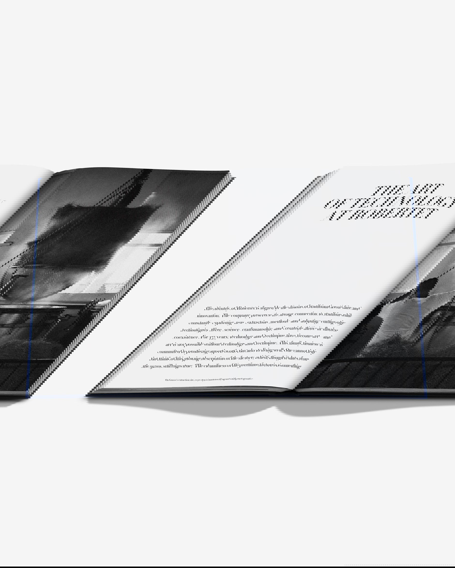 Robertet: From Seed to Scent